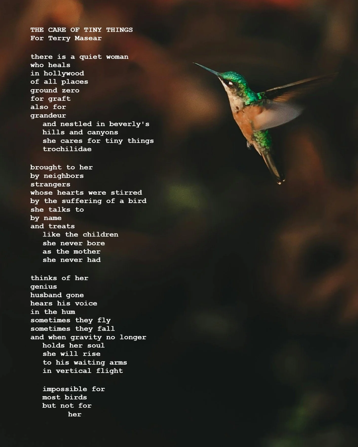 THE CARE OF TINY THINGS.jpeg