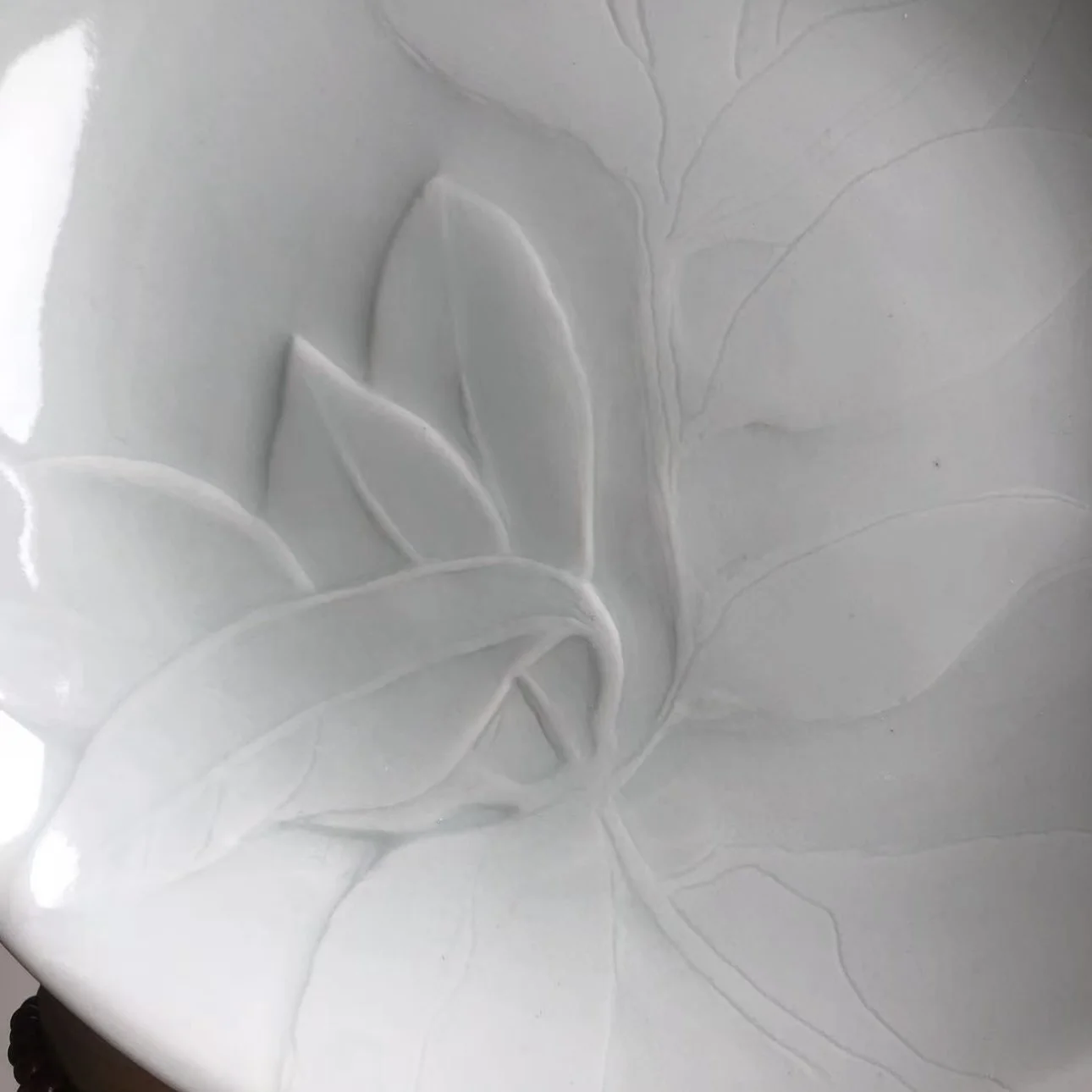 Workshop 3 BANKSIA/Re leaf