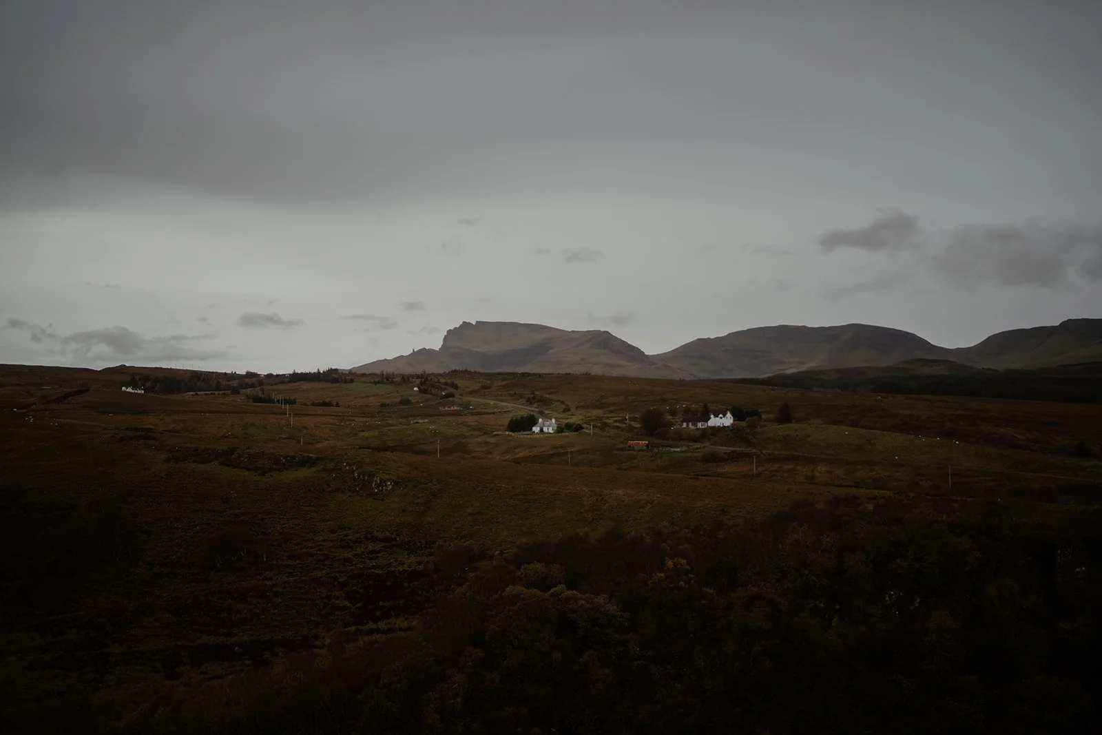 robbieyenny-477.jpg
