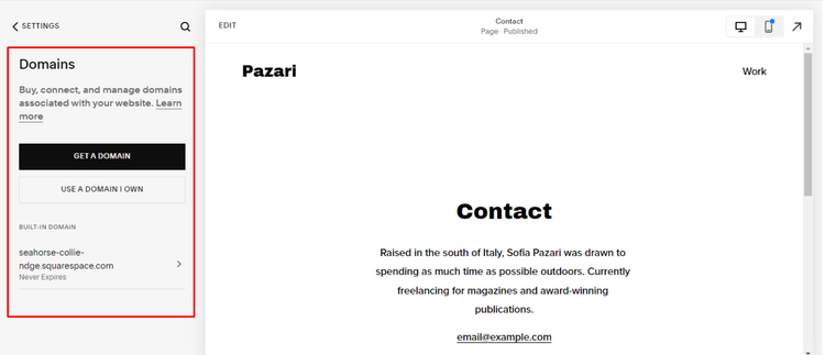 How to Publish a Squarespace Website in 5 Steps (2025 Guide)