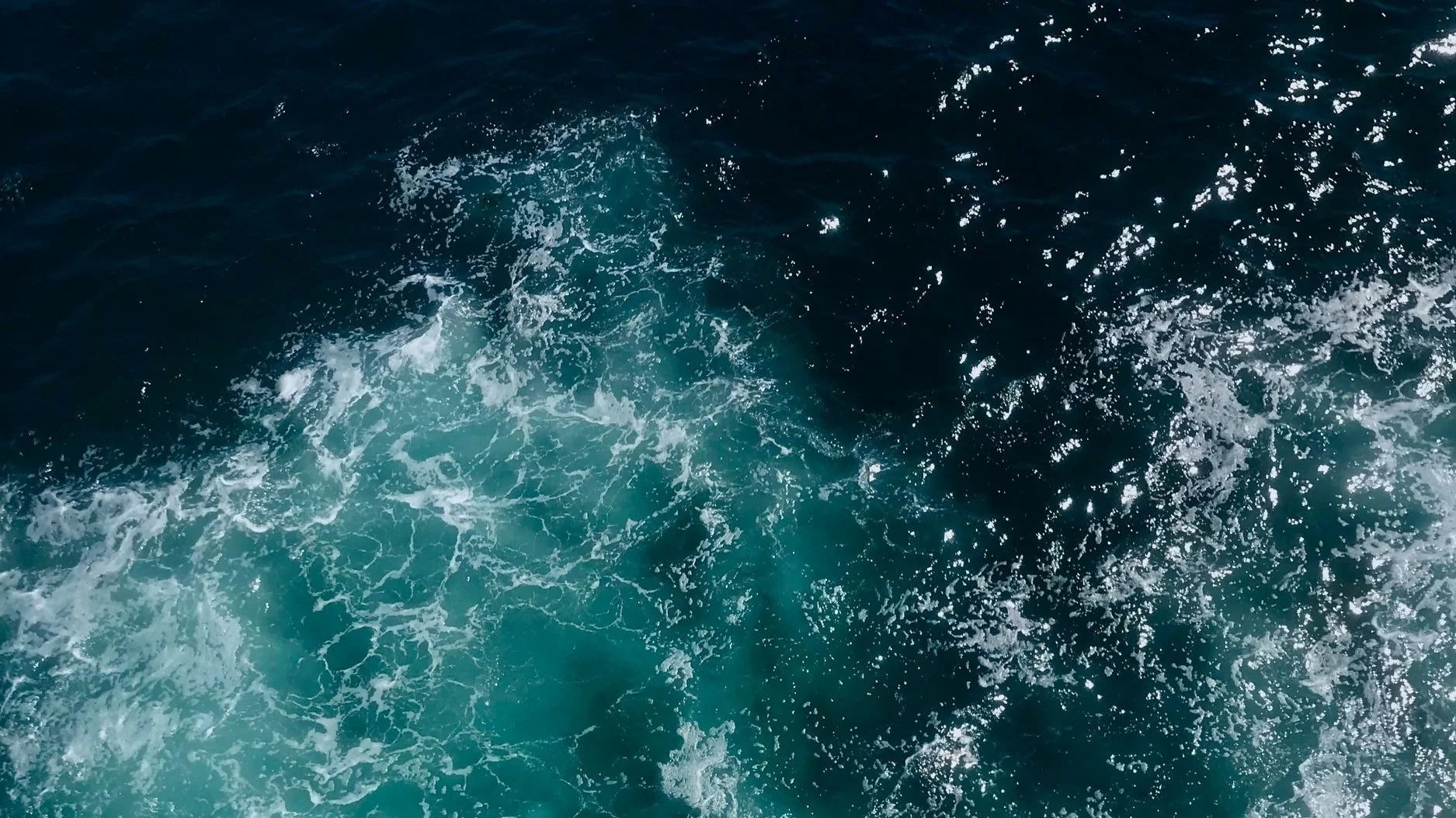 Rapport Nulägesanalys medborgarservice 2022