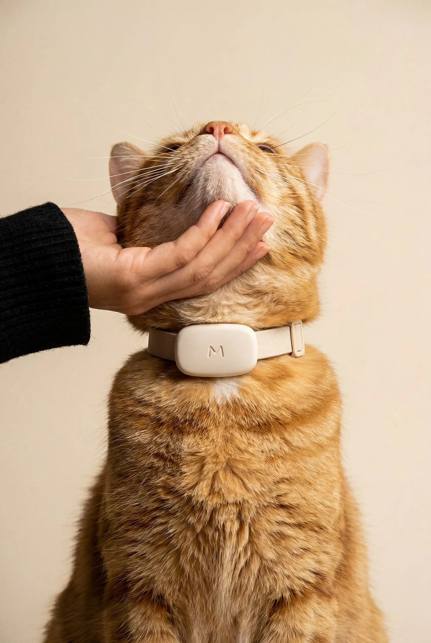 SMART MONITOR / MOGGIE / PRODUCT
