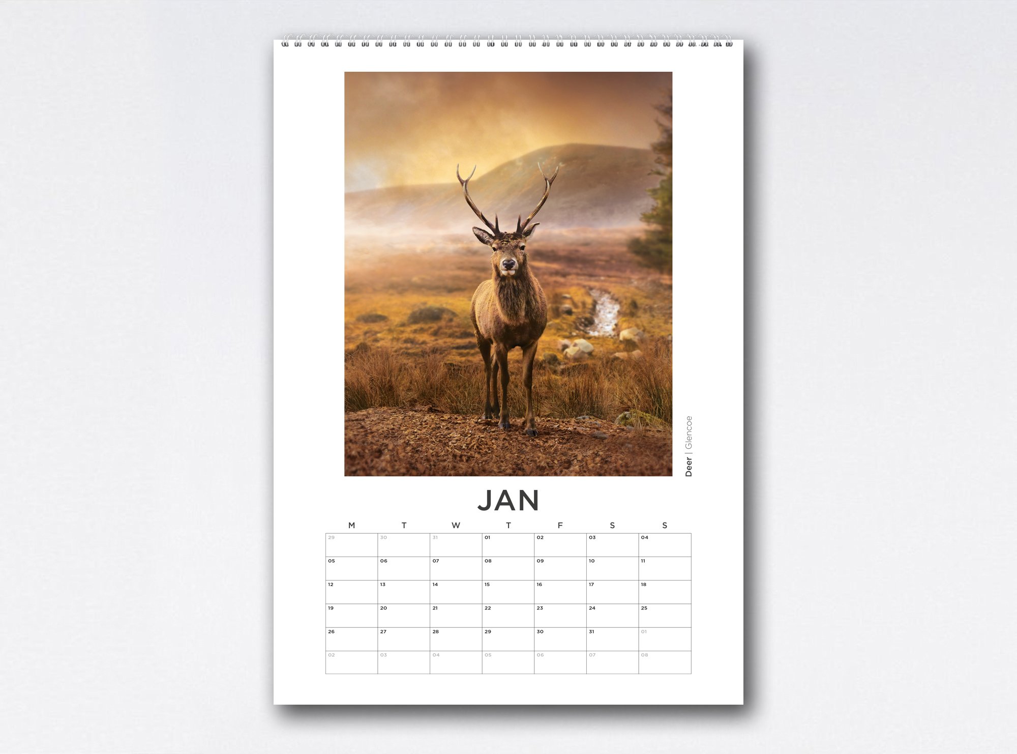 Calendar_Jan_26.jpg