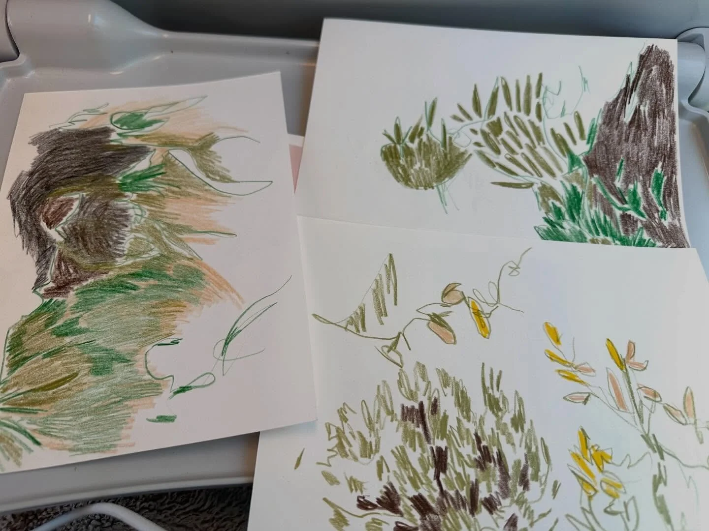 Around Mt Victoria train , drawing with lively Lyra pencils #lyrapencils #mtvictoria #aketches #movingtrees