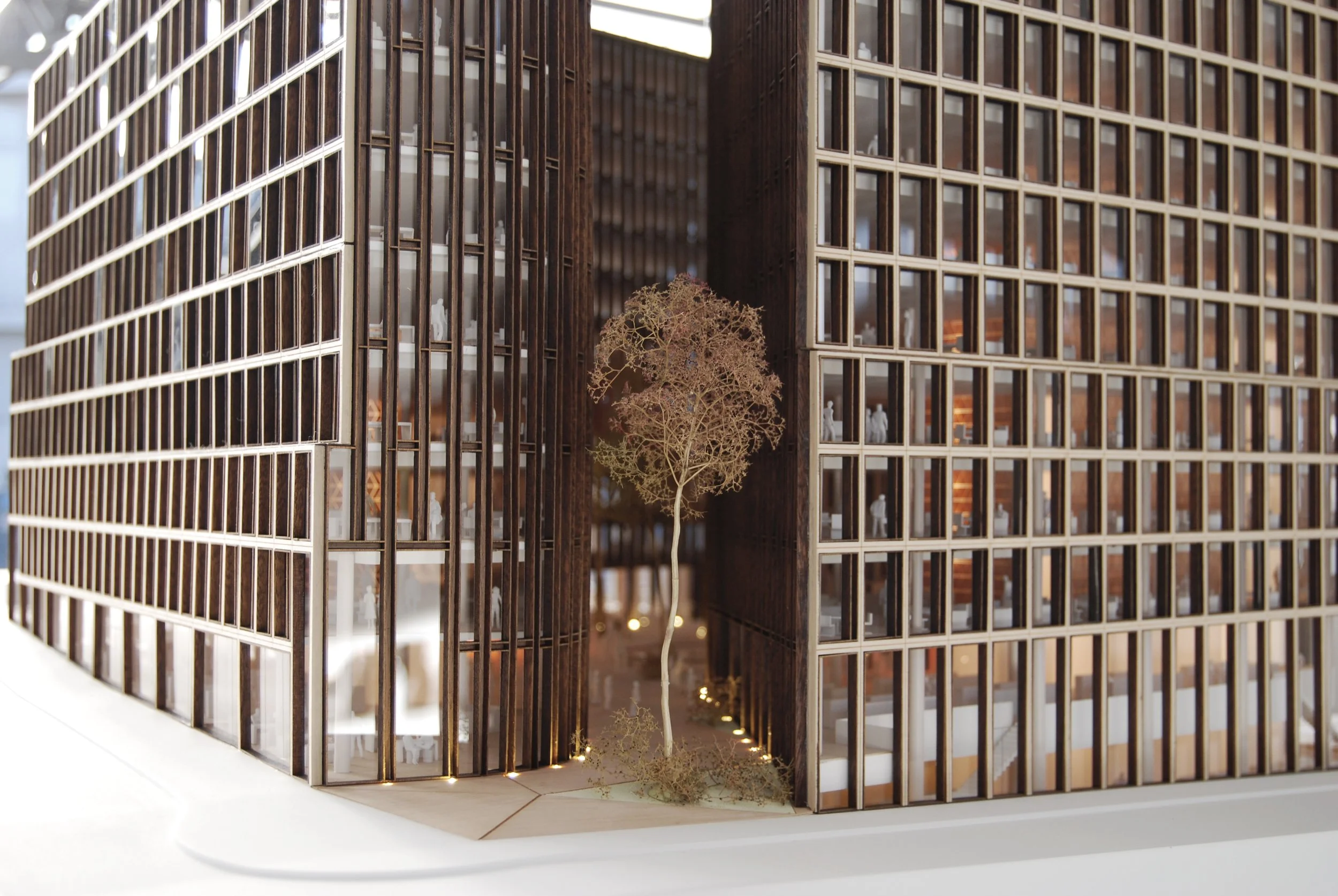 Modello architettonico di un edificio con struttura in legno e vetro, con un cortile centrale e alberi decorativi