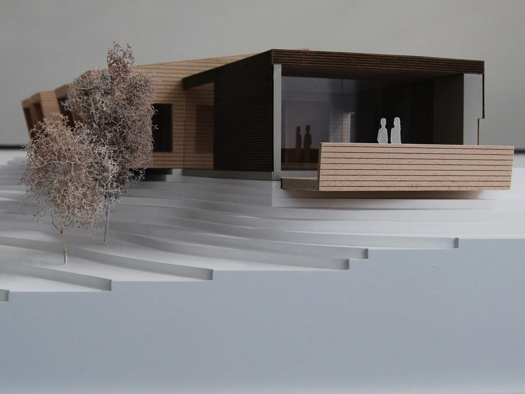 Modello architettonico di una casa moderna in scala con dettagli in legno, finestre grandi e arbusti nel giardino