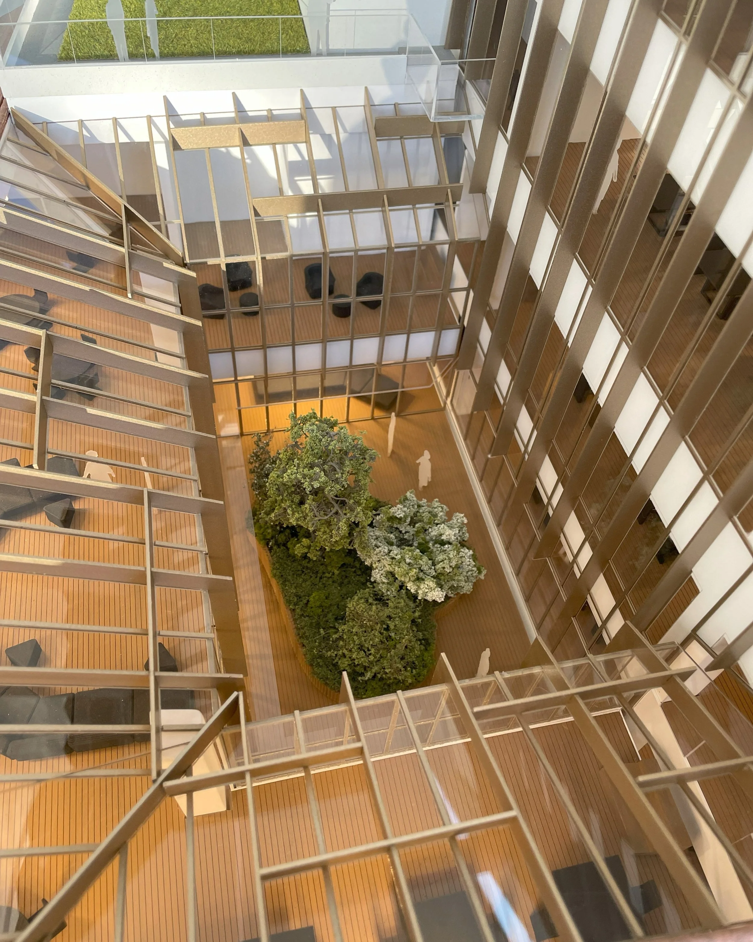 Vista dall'alto di un cortile interno di un edificio con piante e balconi con ringhiere in metallo.