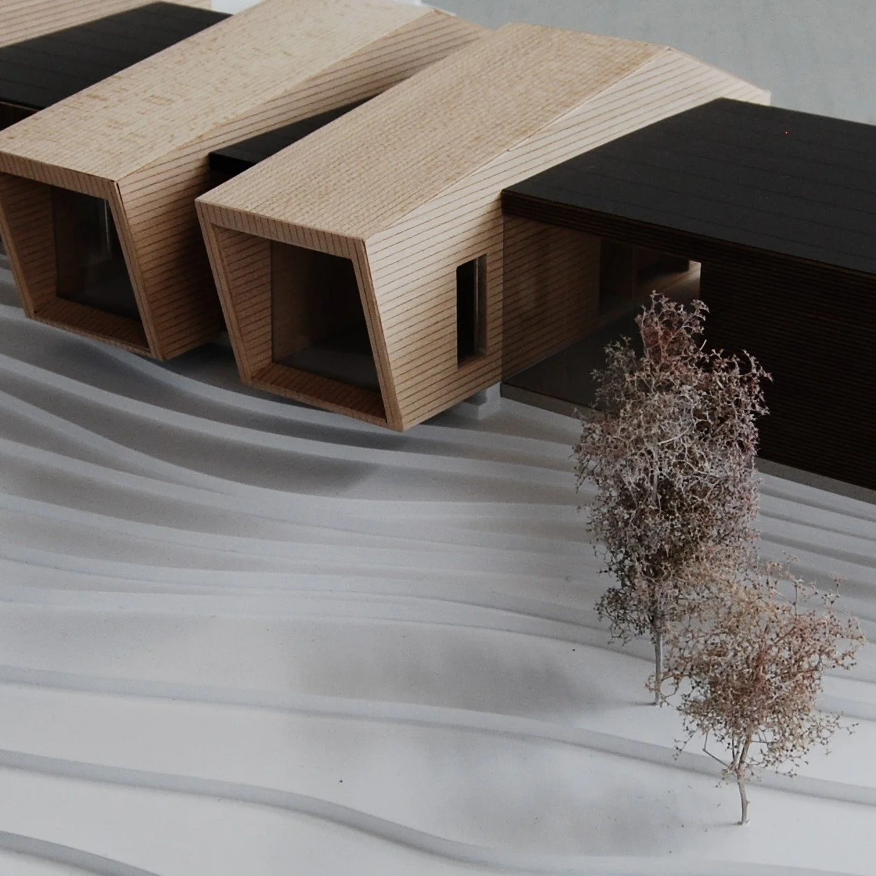 Modello in scala di tre moderni edifici in legno con tetti piani, circondati da un paesaggio con alberi spogli e linee orizzontali sul terreno.