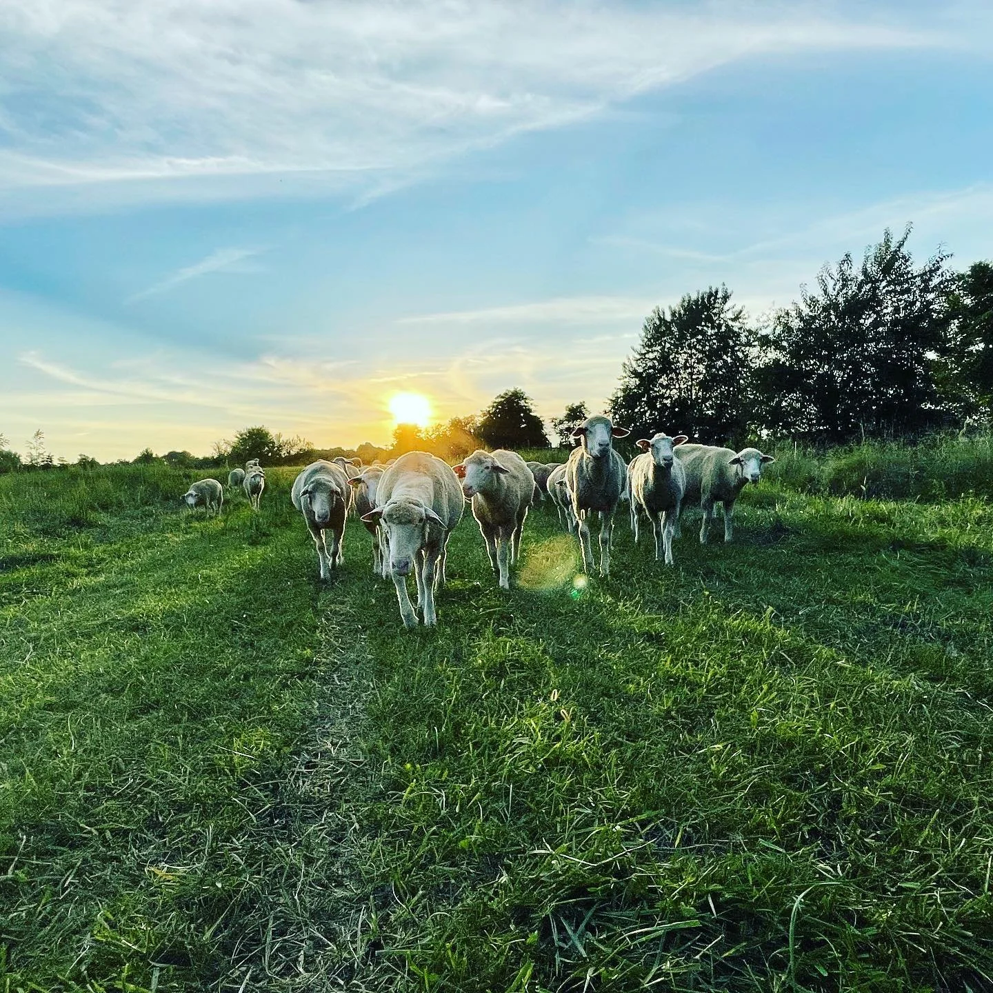 What Sustainability Means to Us