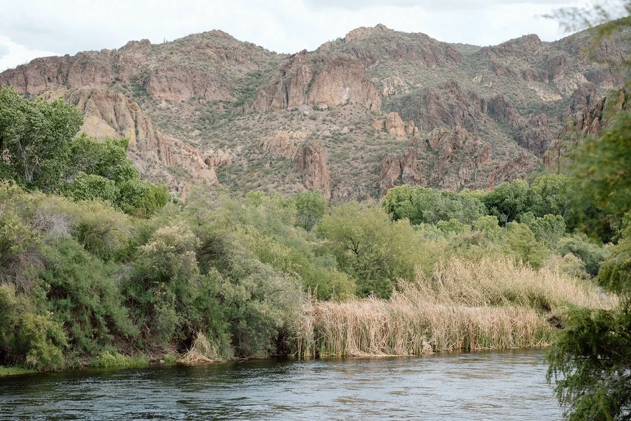 Saguaro Guest Ranch Wedding _ Val Photo Co-11_websize Large.jpeg