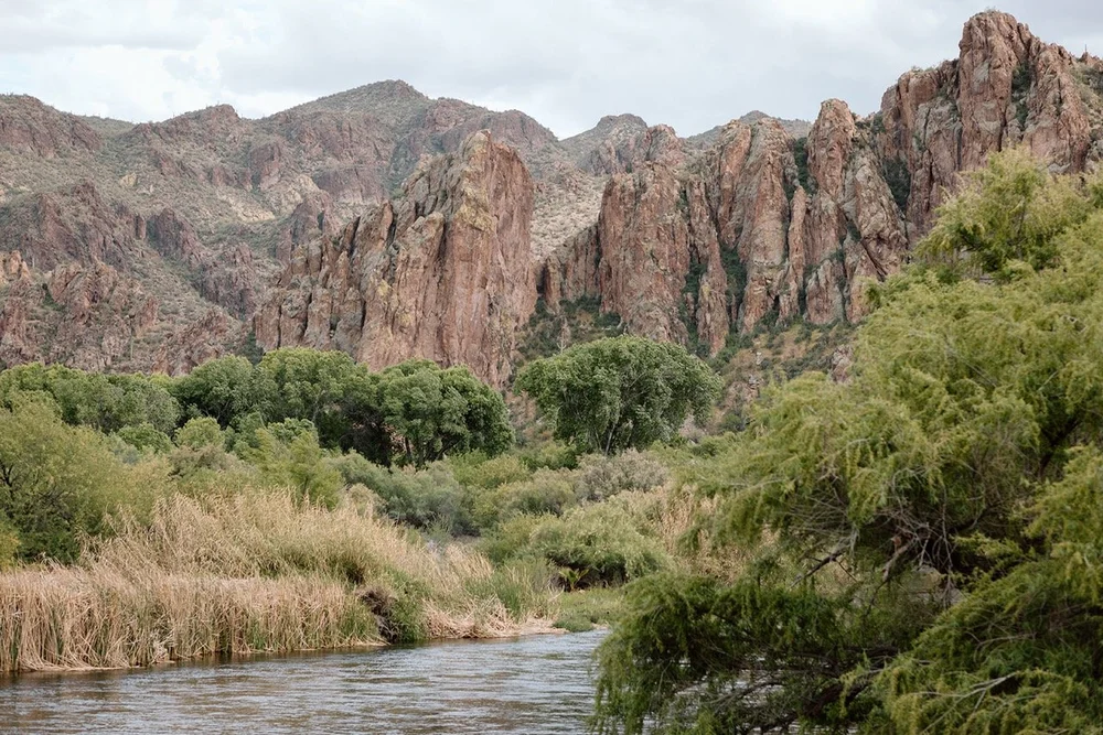 Saguaro Guest Ranch Wedding _ Val Photo Co-13_websize Large.jpeg