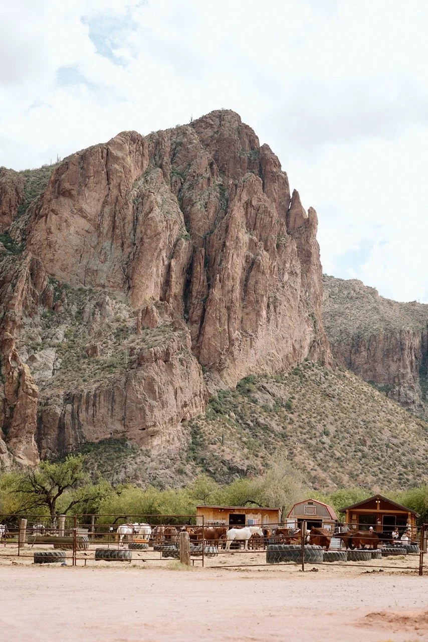 Saguaro Guest Ranch Wedding _ Val Photo Co-22_websize Large.jpeg