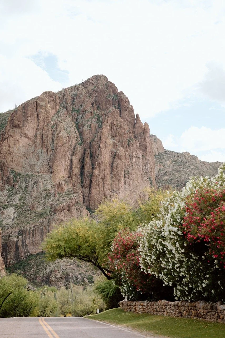 Saguaro Guest Ranch Wedding _ Val Photo Co-38_websize Large.jpeg