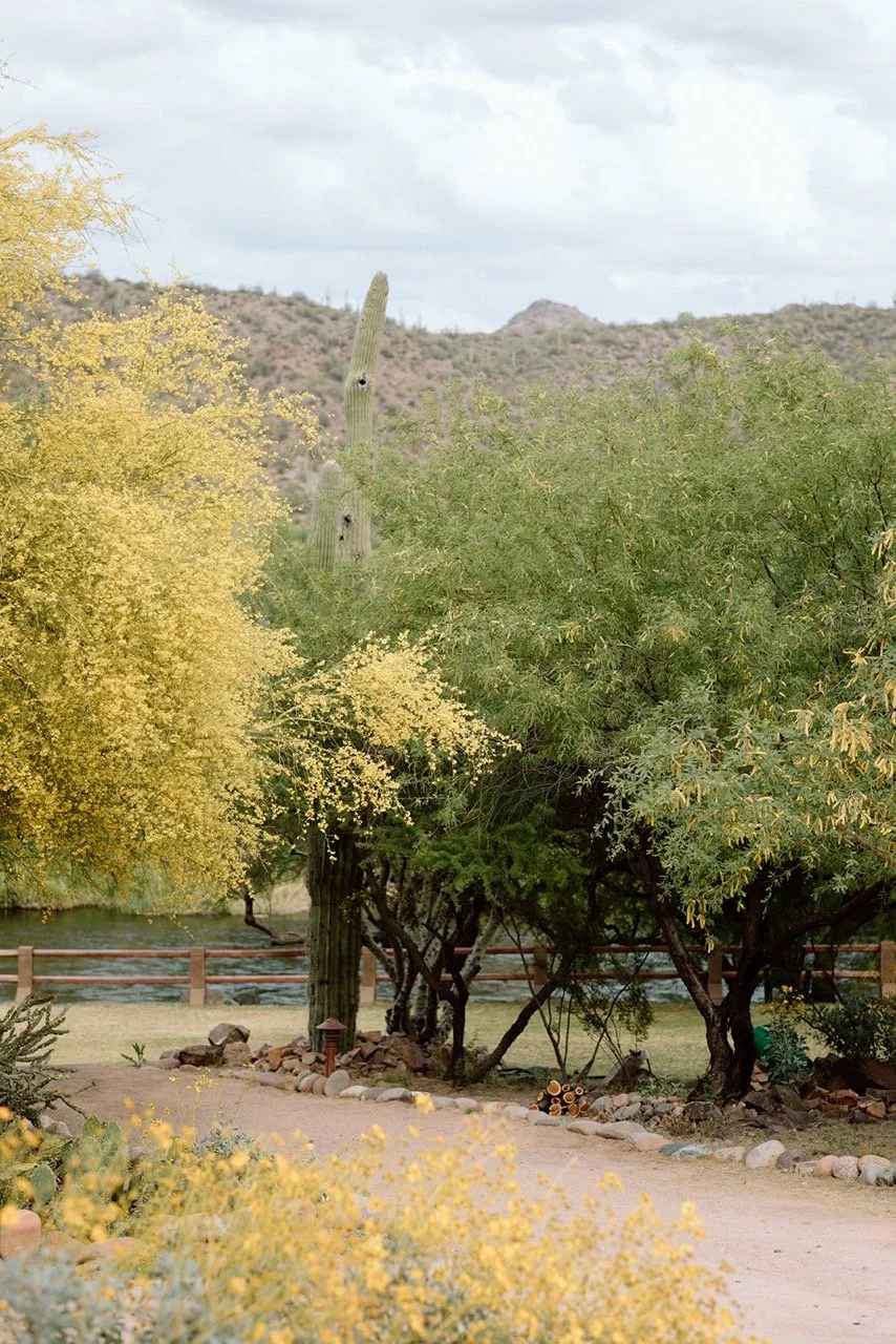 Saguaro Guest Ranch Wedding _ Val Photo Co-67_websize Large.jpeg