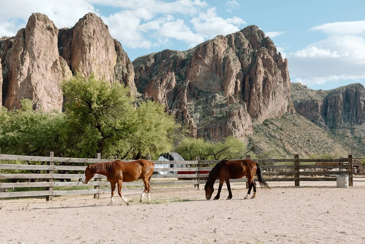 Saguaro Guest Ranch Wedding _ Val Photo Co-135_websize (1) Large.jpeg