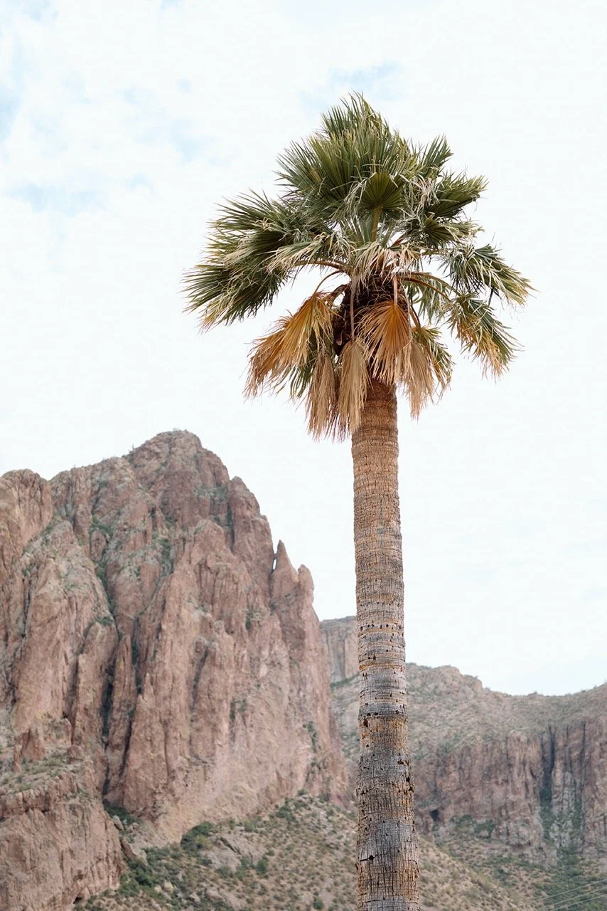 Saguaro Guest Ranch Wedding _ Val Photo Co-47_websize Large.jpeg