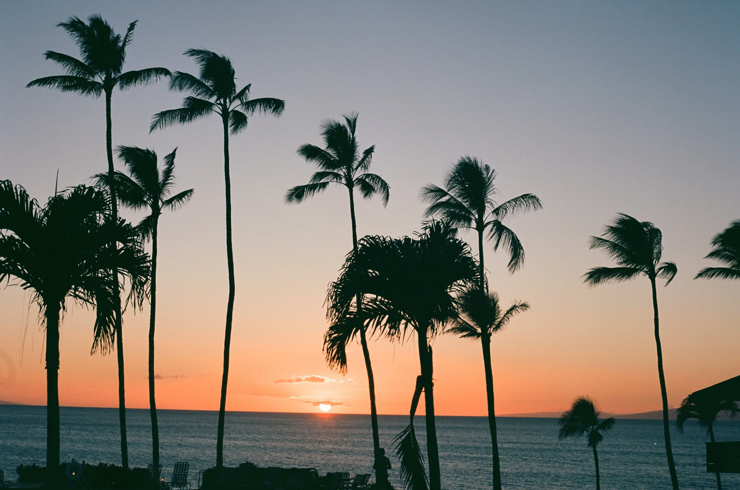 Maui, Hawaii Destination Wedding