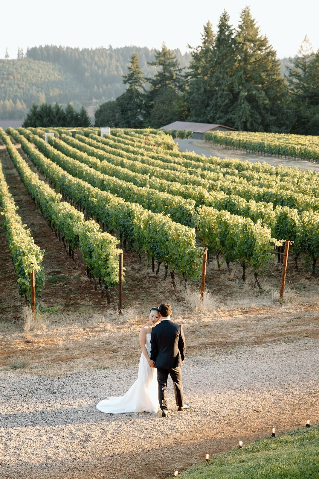A bride and groom standing outdoors in a gravel area, holding hands, with a vineyard and trees in the background during golden hour.