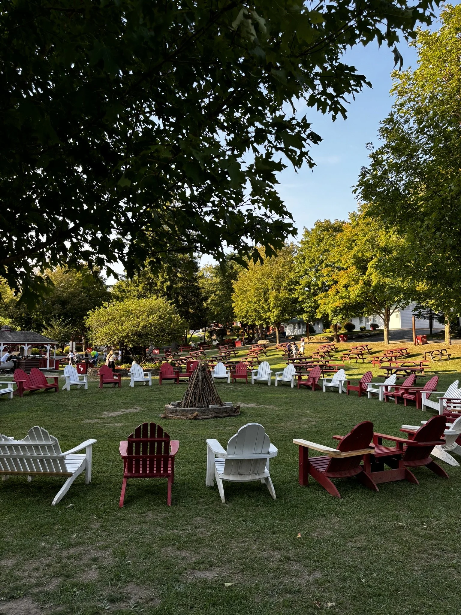 PICNIC AREA-FIREPIT.JPEG
