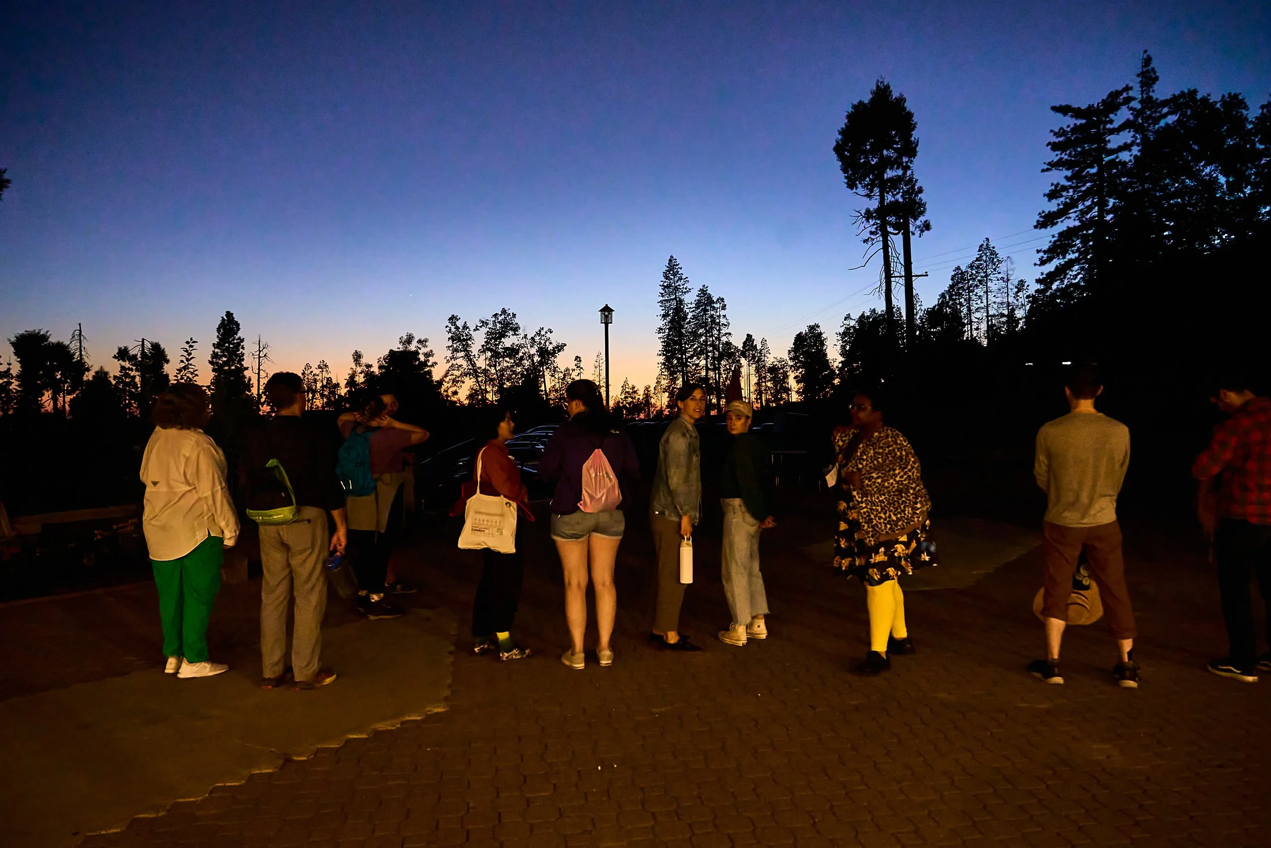 improv-utopia-yosemite-adult-camp-retreat-improvisers-33.jpg
