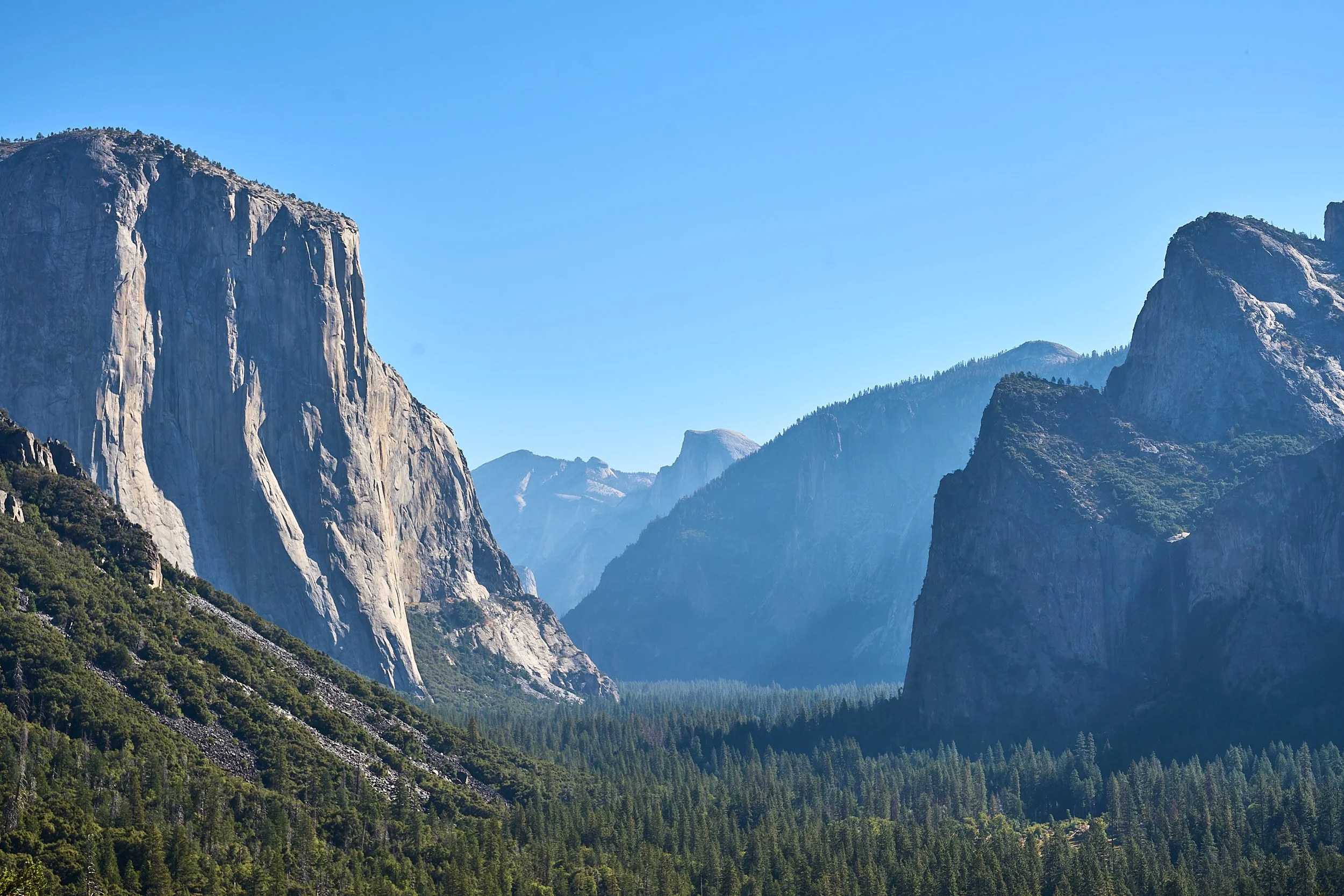 improv-utopia-yosemite-adult-camp-retreat-improvisers-37.jpg