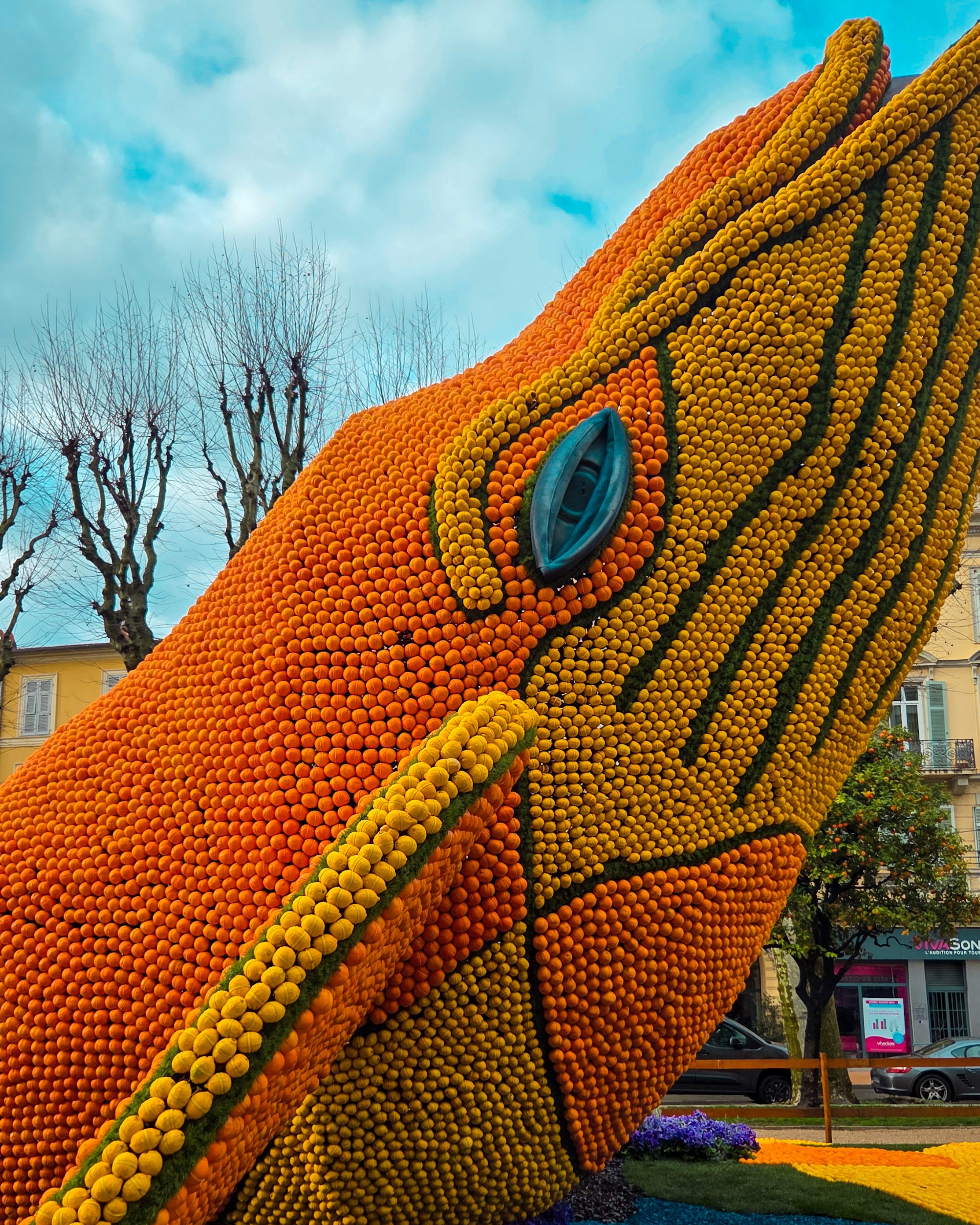 133.Fete du Citron 2026 - Merveilles du Vivant - Jardins-13.jpg