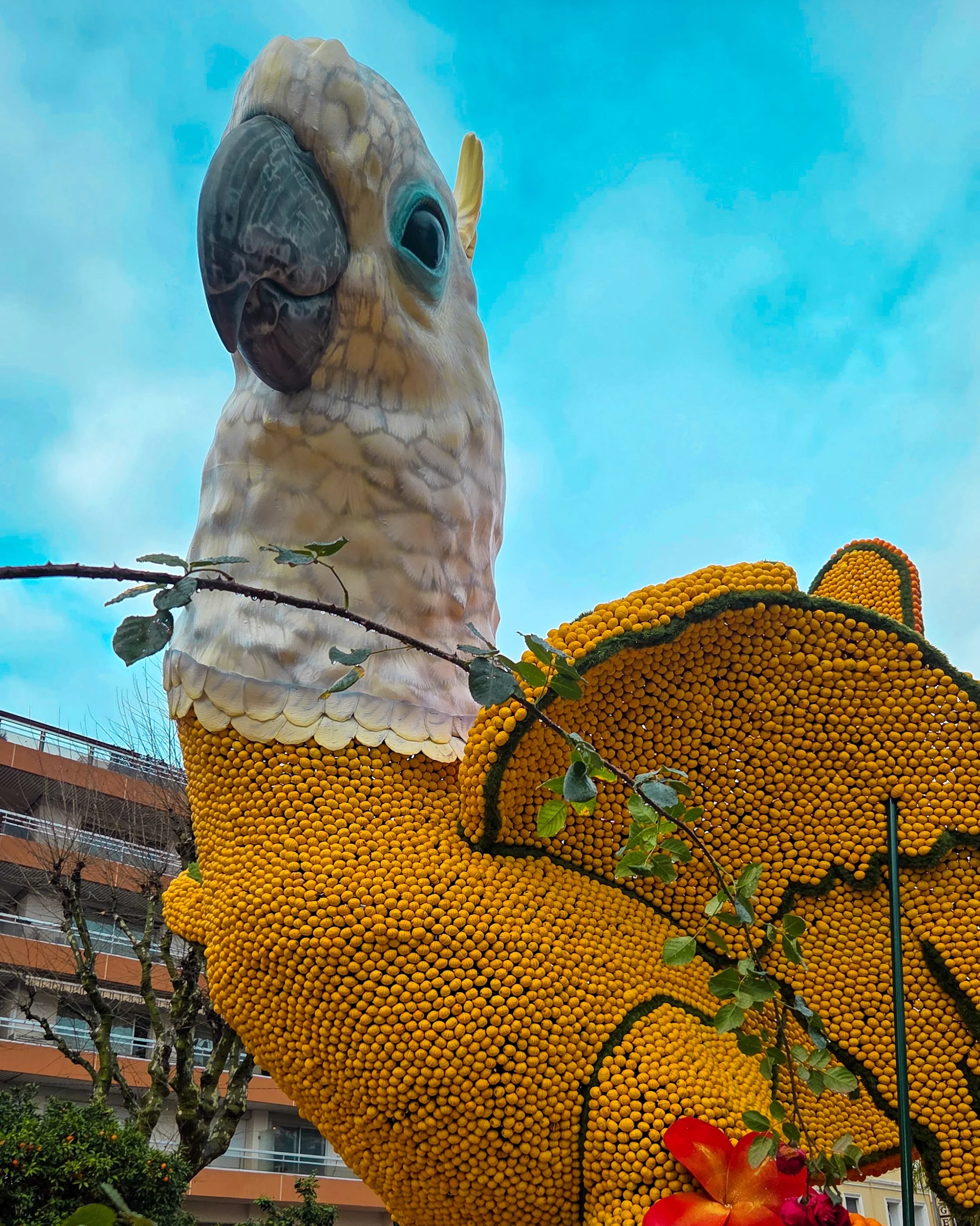 133.Fete du Citron 2026 - Merveilles du Vivant - Jardins-04.jpg