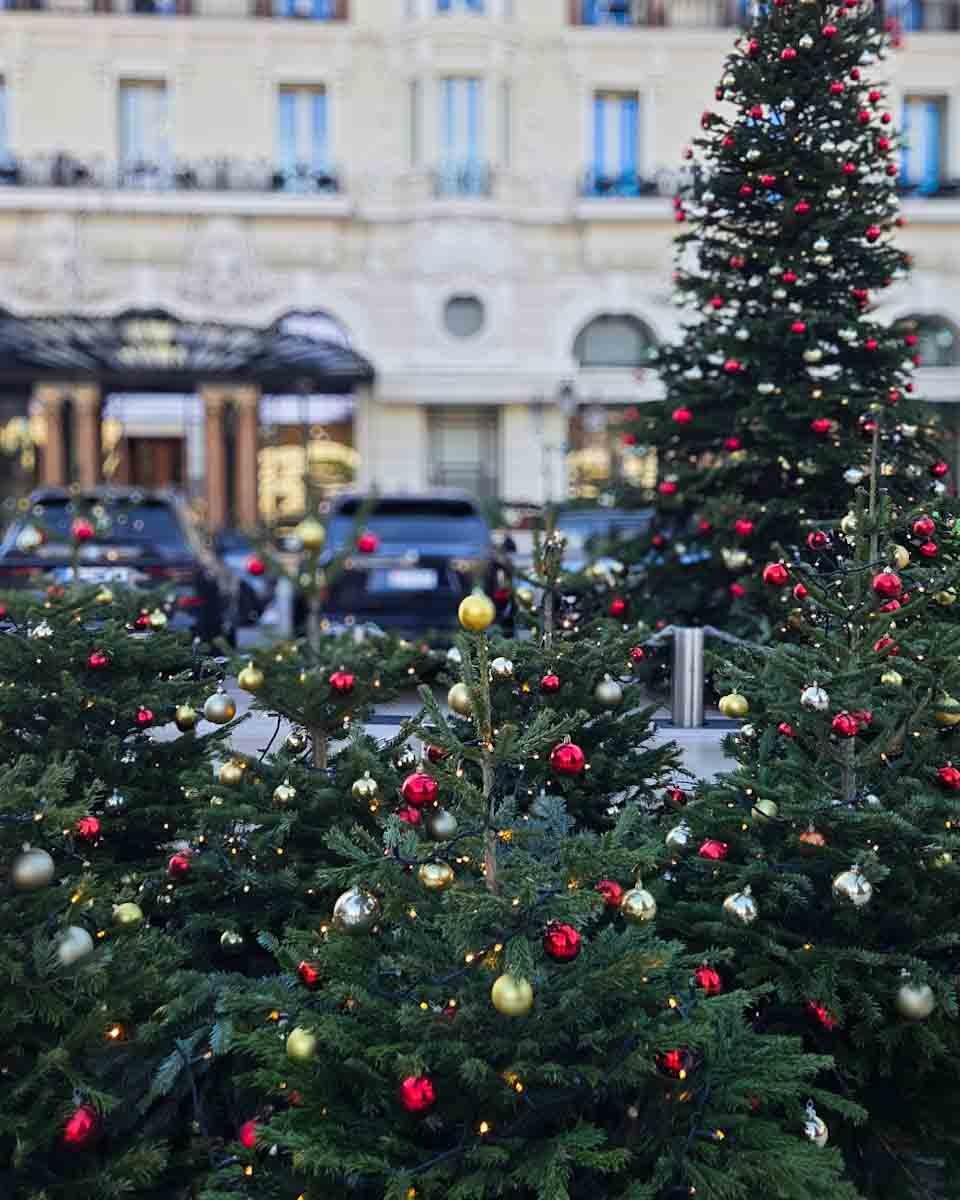 131.article de blog.Noël à Monaco-05.jpg