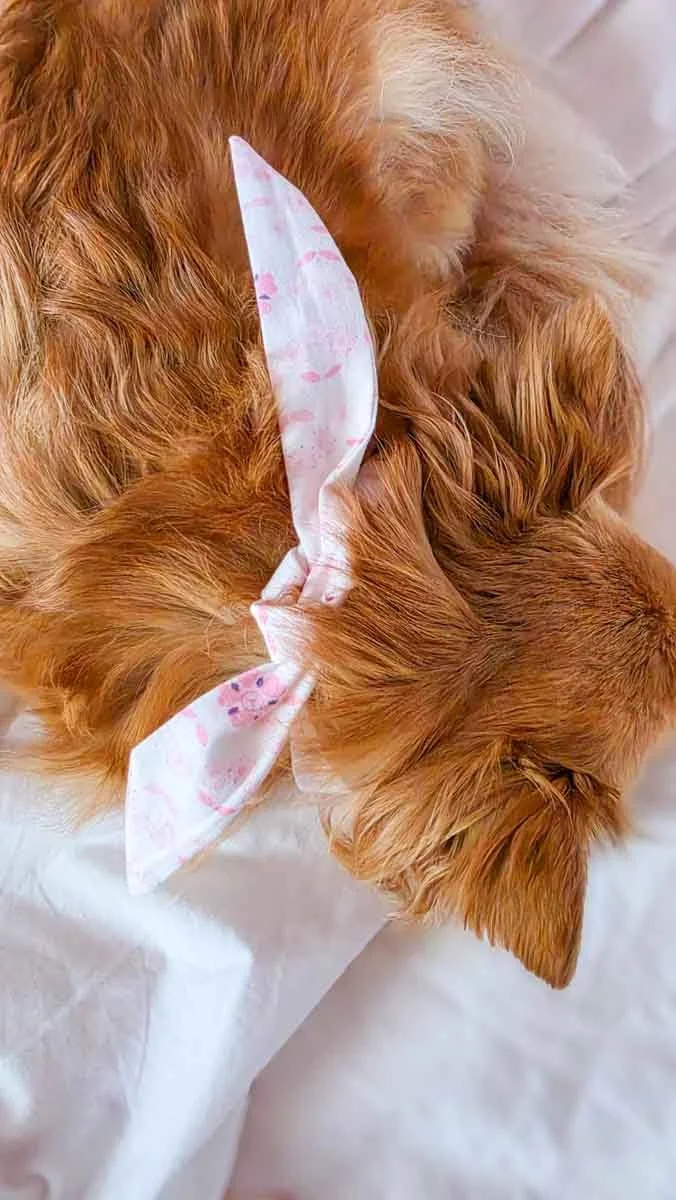 Art and craft-2026-couture bandana 06.jpg