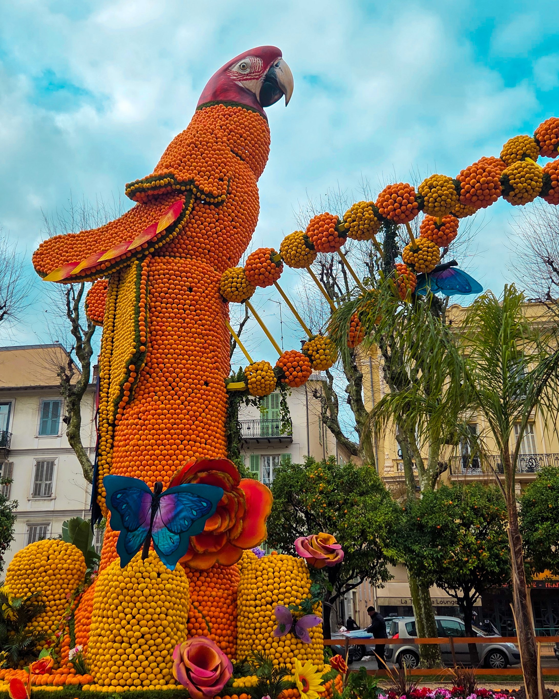 133.Fete du Citron 2026 - Merveilles du Vivant - Jardins-12.jpg