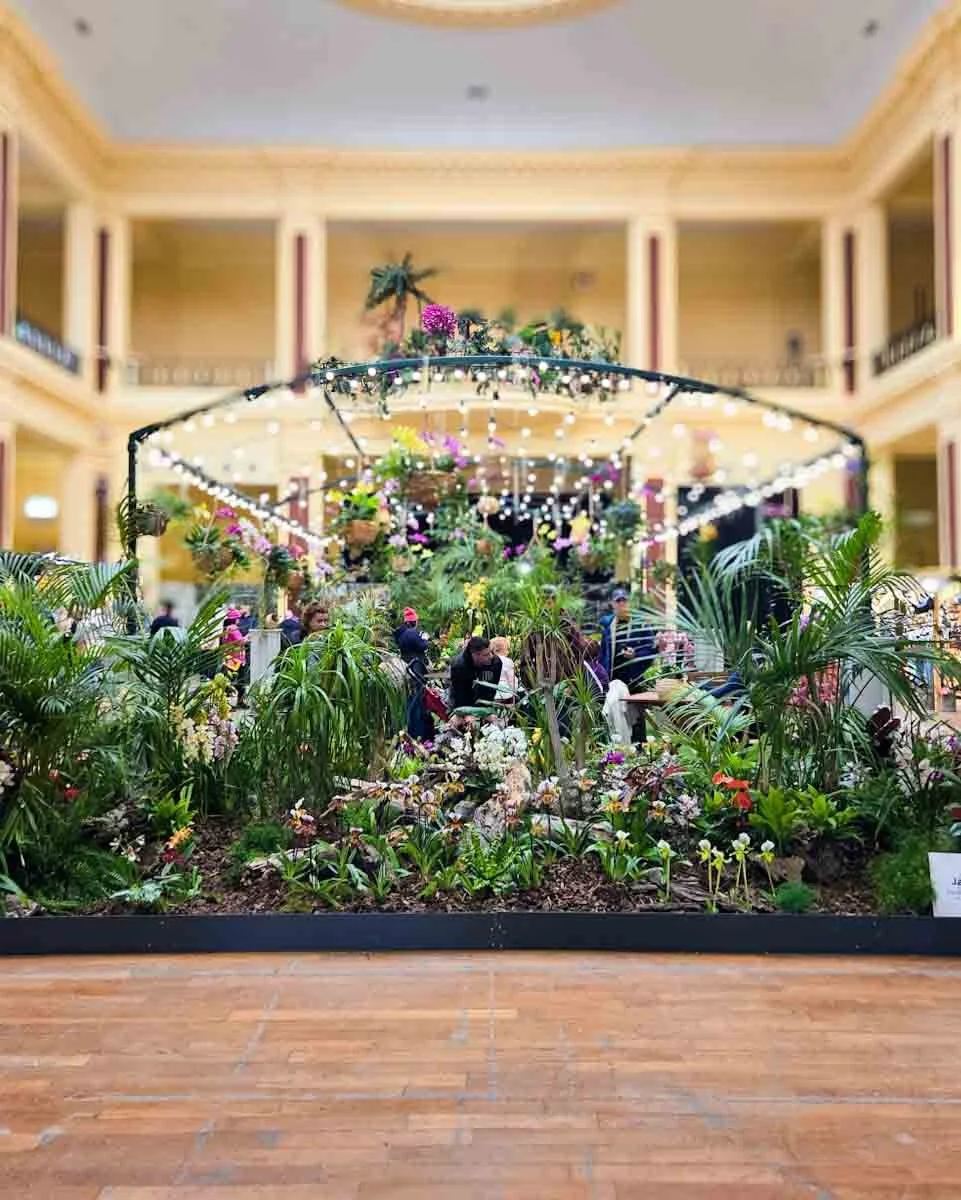 104.billet de blog -Fête du Citron 2025 - orchidées - 01.jpg