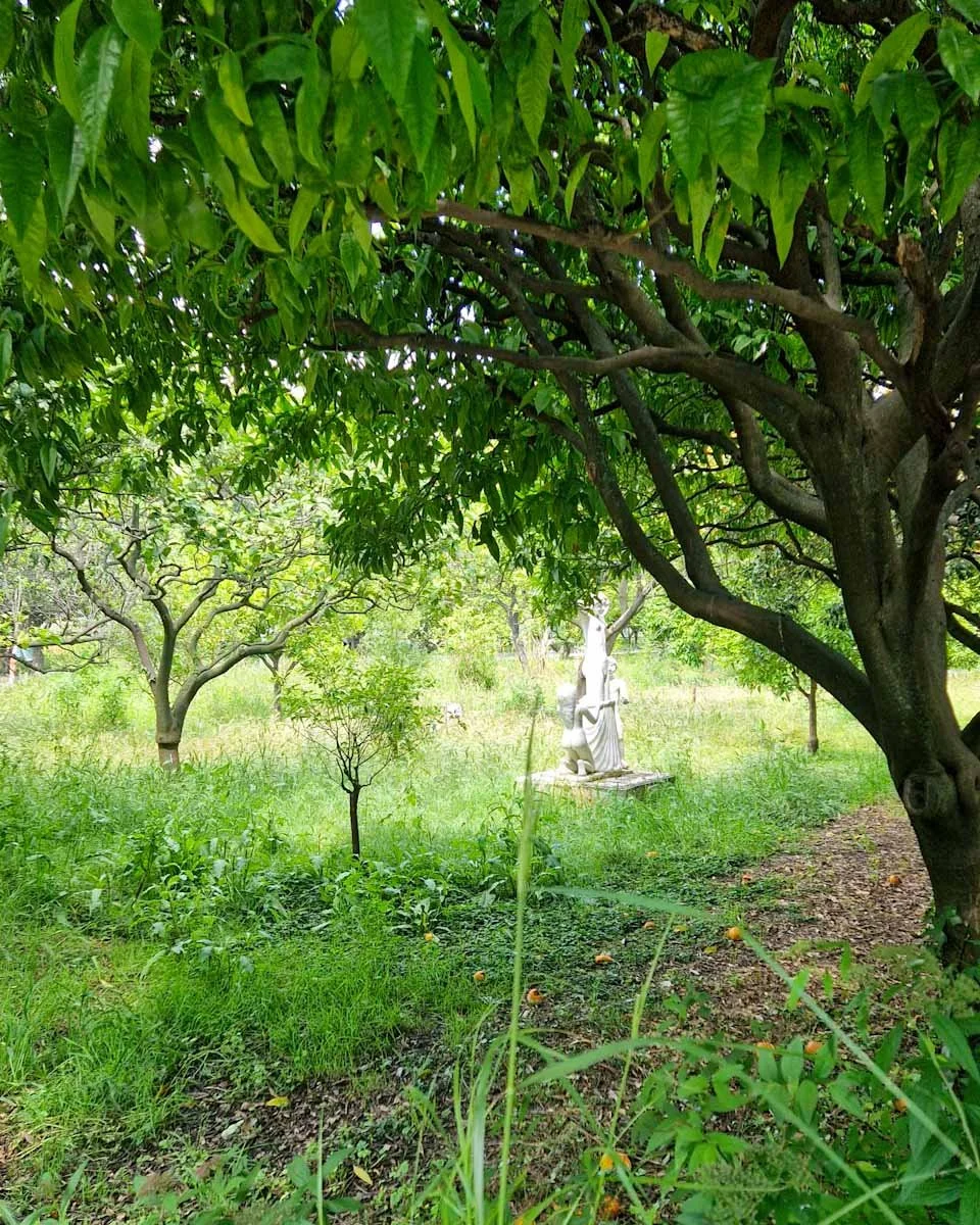 159.Menton ville jardins-Palais Carnoles-15.jpg