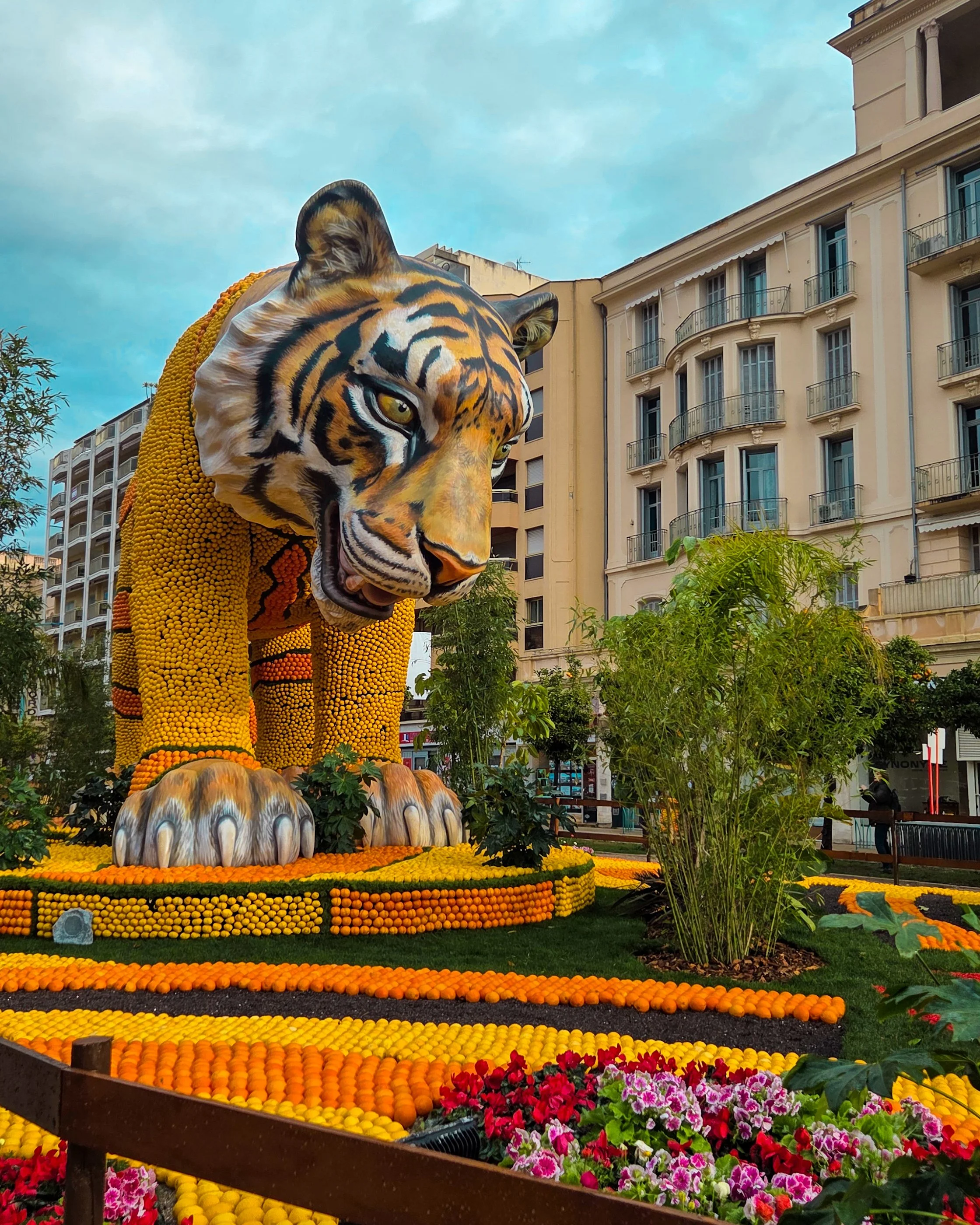 133.Fete du Citron 2026 - Merveilles du Vivant - Jardins-15.jpg