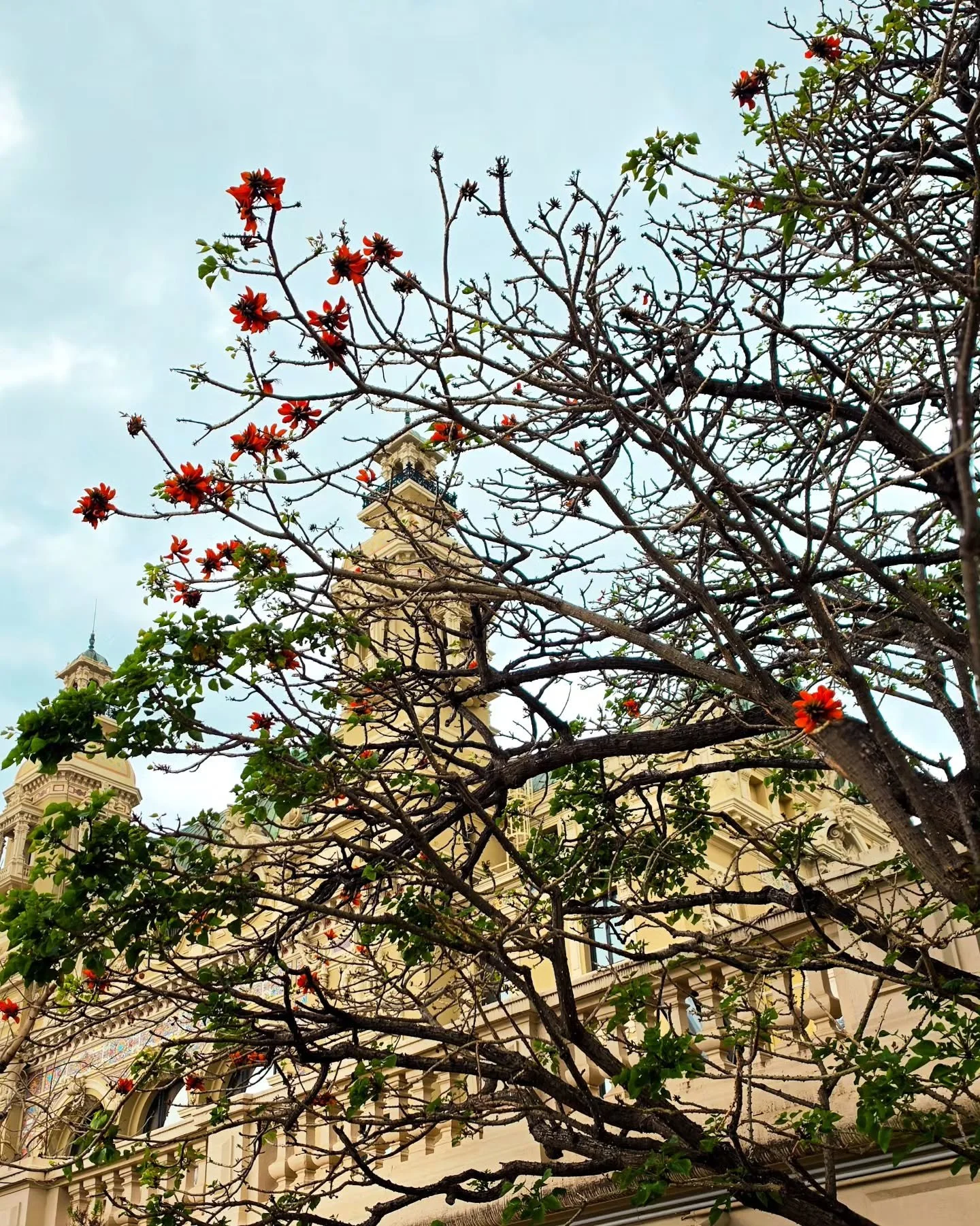 Monaco, juste parce que c'est joli 🩷

A bient&ocirc;t ~♡

&bull;▪︎&bull;▪︎&bull;▪︎&bull;▪︎&bull;▪︎&bull;▪︎&bull;▪︎&bull; 
#justeEdelyne #frenchrivieraguide #visitcotedazur #creatricedecontenu #blogueuselifestyle