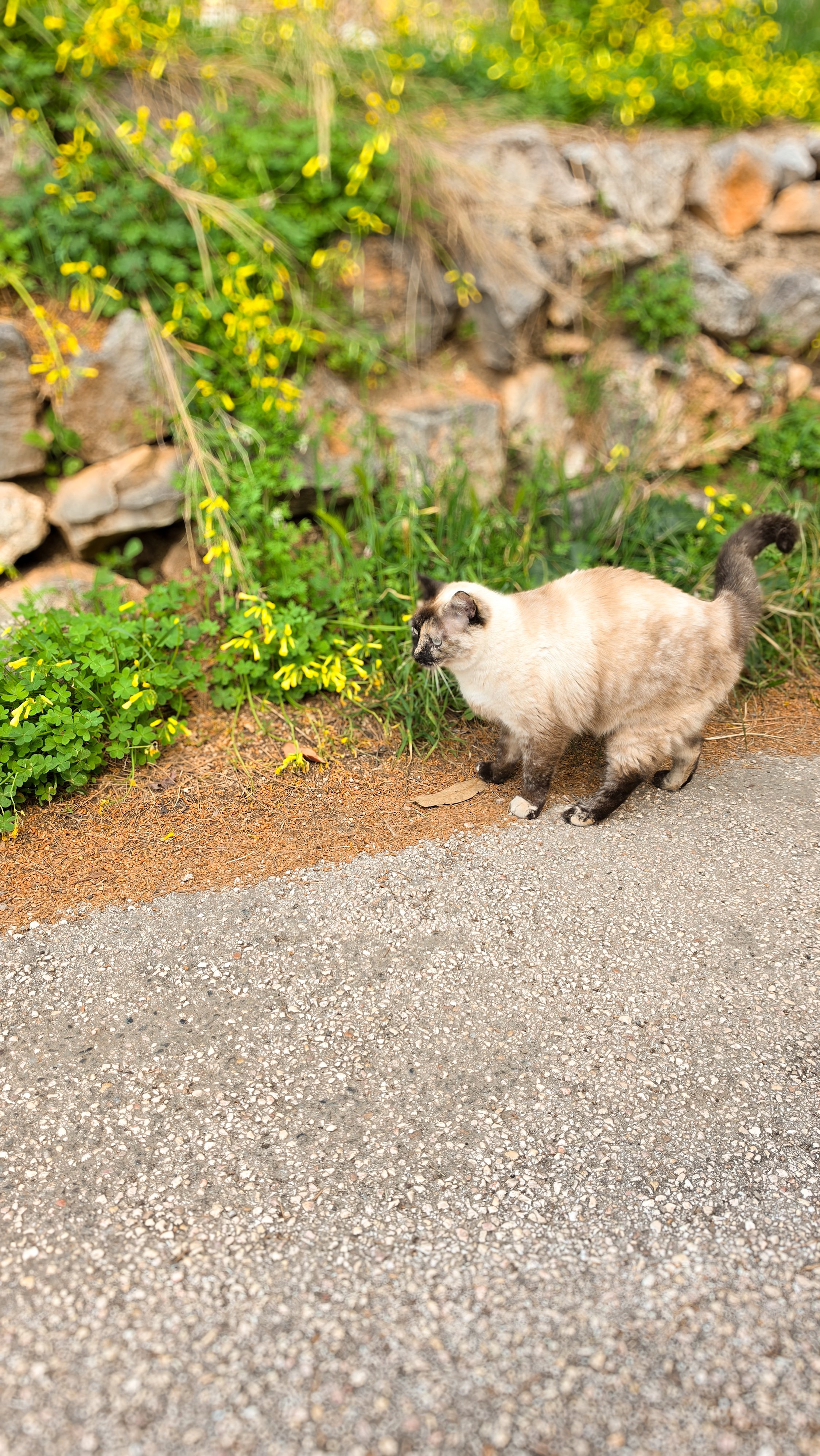 139.article de blog - Beausoleil - 01.jpg