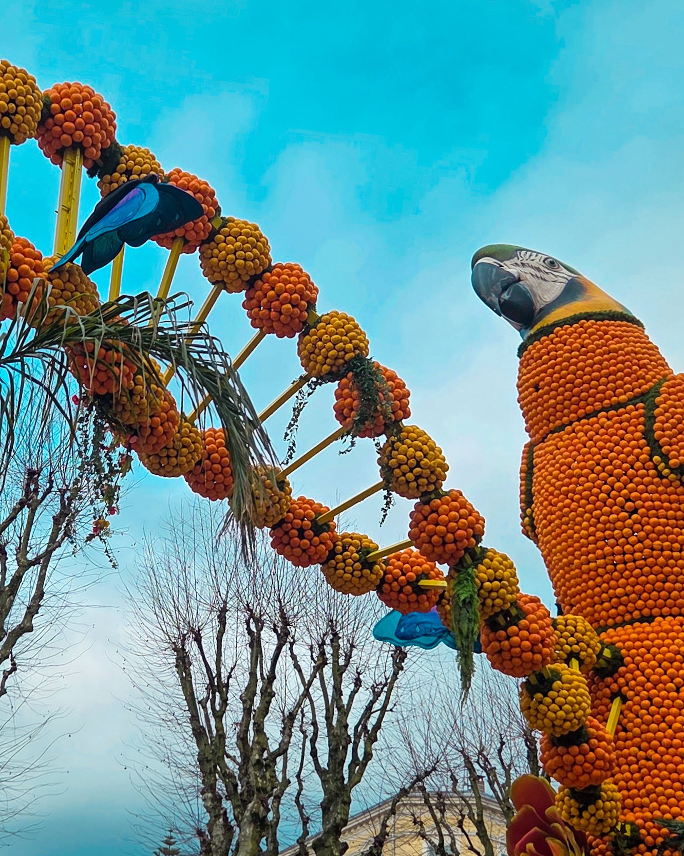 133.Fete du Citron 2026 - Merveilles du Vivant - Jardins-11.jpg