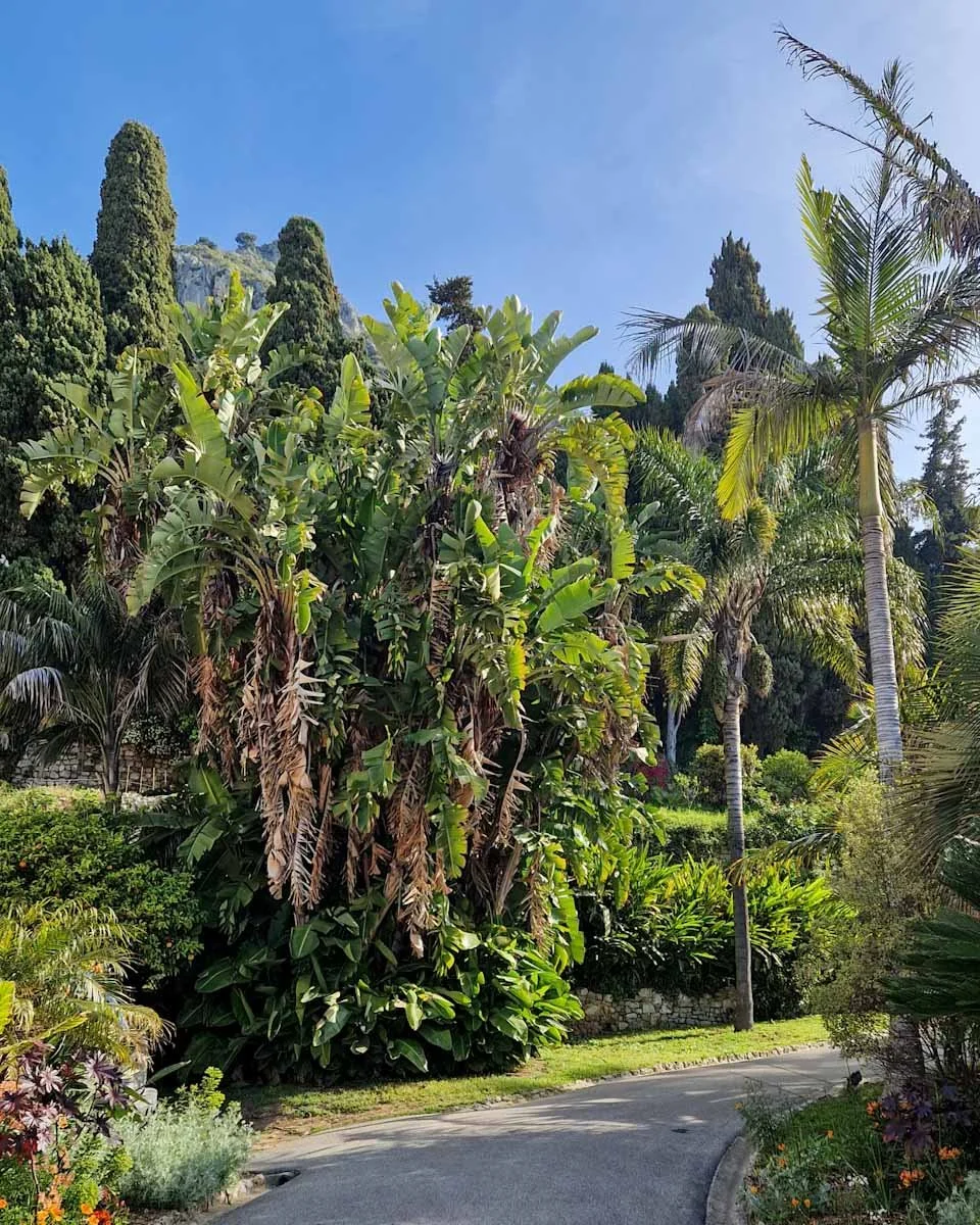 159.Menton ville jardins-Maria Serena-01.jpg