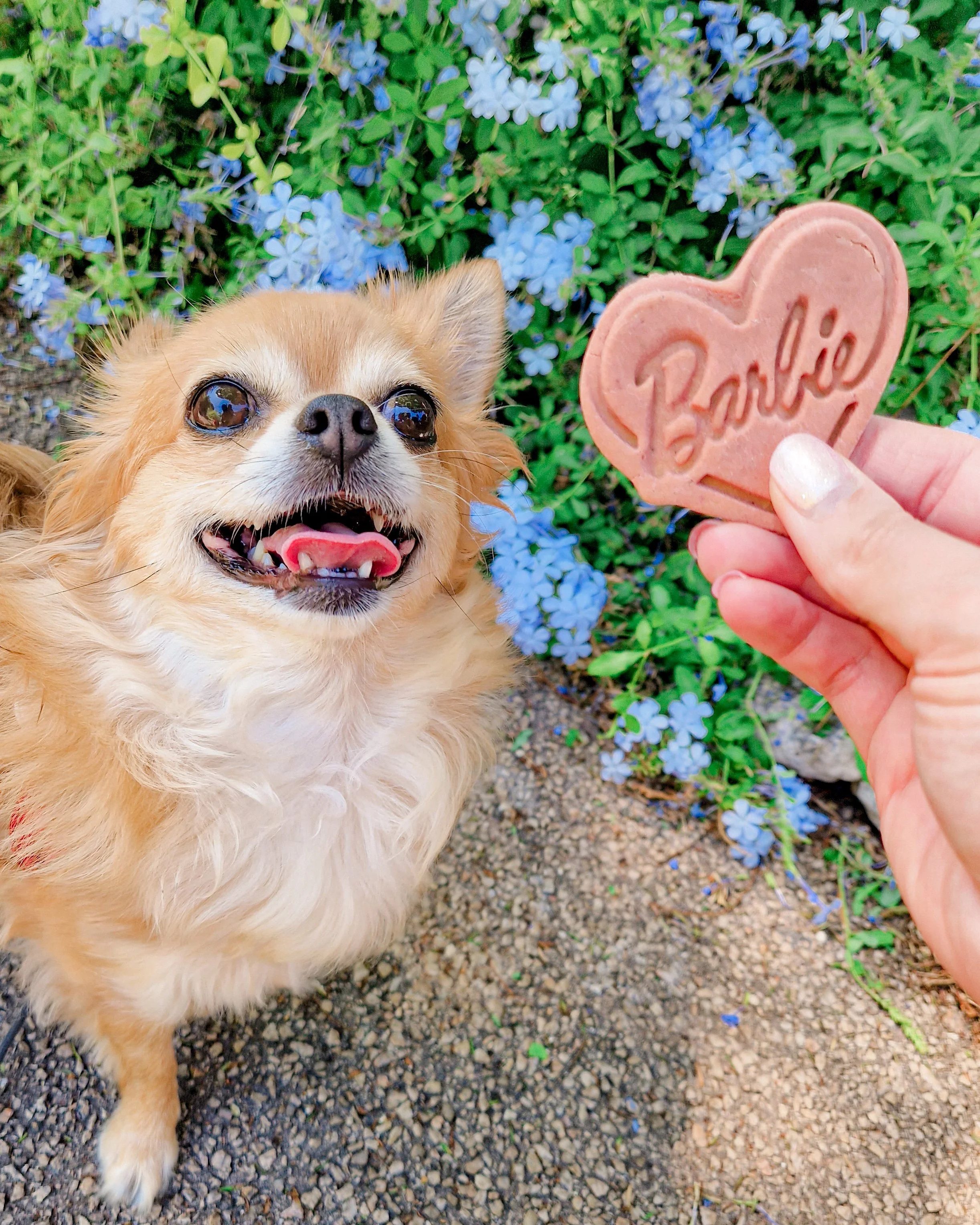 Simonette Store - post 2023 08 09 - 04.jpg