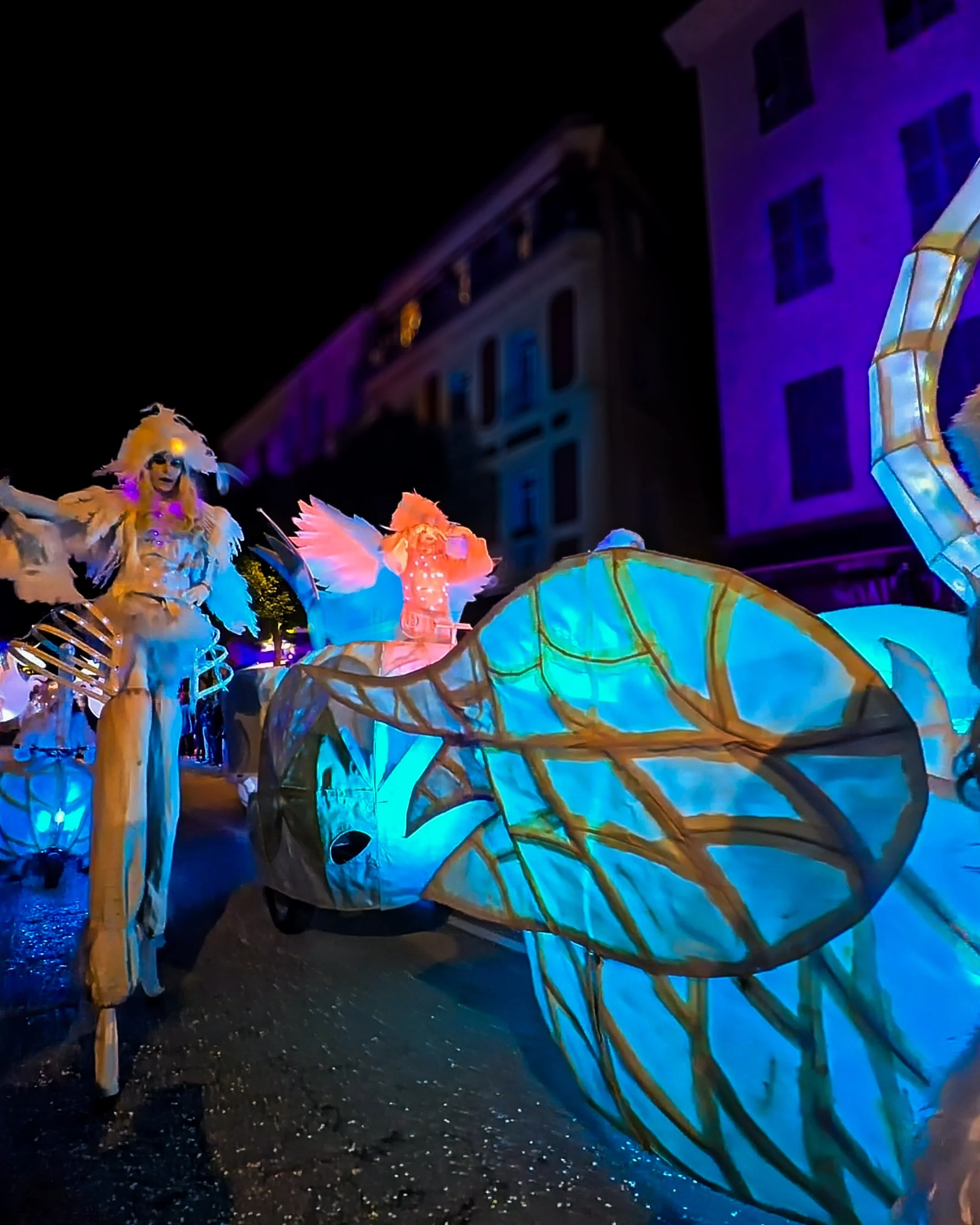 133.Fete du Citron 2026 - Merveilles du Vivant - Corsos - 06.jpg