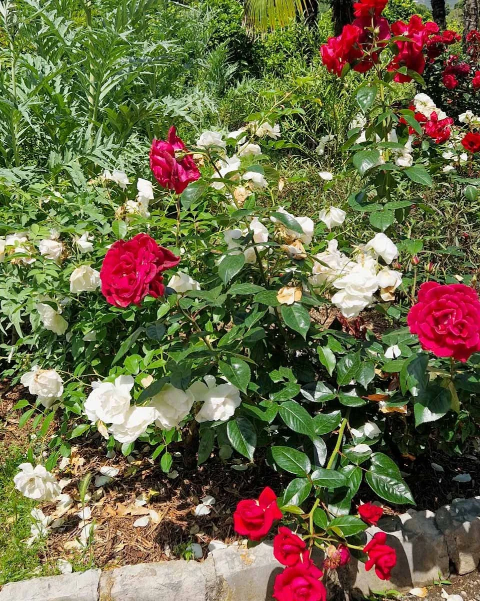 159.Menton ville jardins-Palais Carnoles-11.jpg