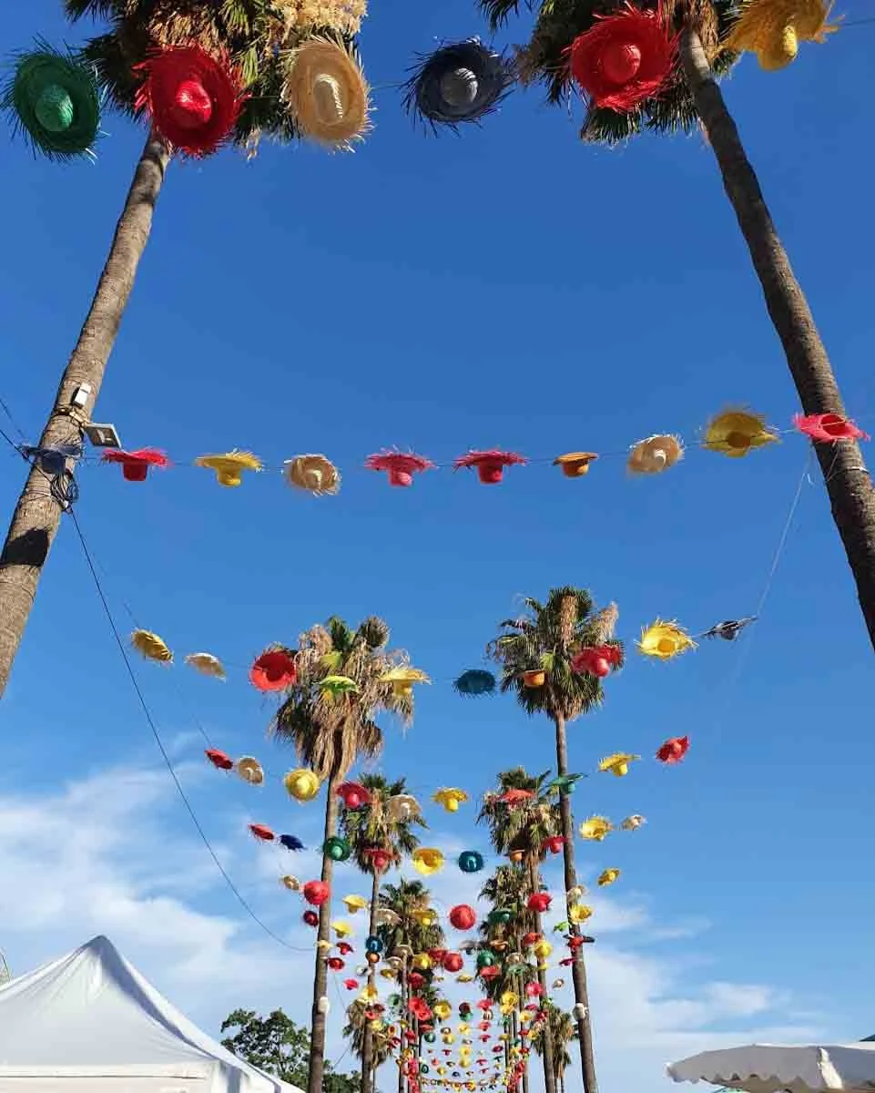 112.article de blog.Menton autrement-marche estival.jpg