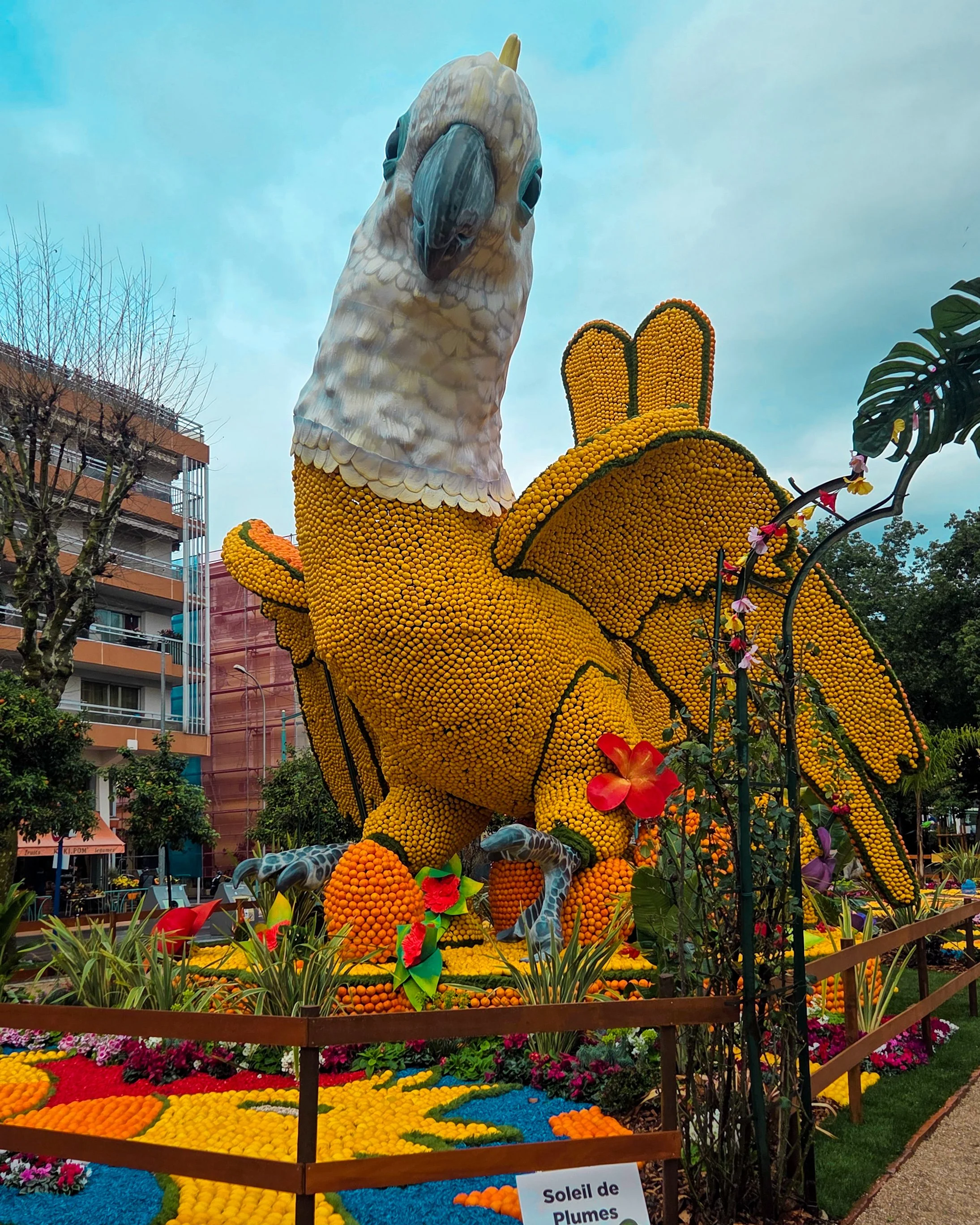 133.Fete du Citron 2026 - Merveilles du Vivant - Jardins-03.jpg