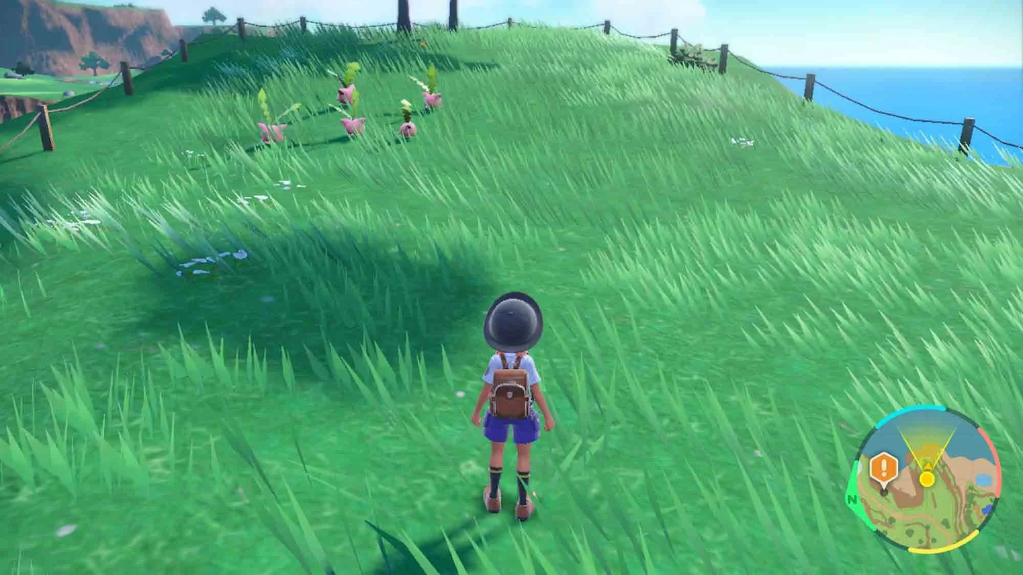 57.blog-article-2023-Pokemon Violet-10.jpg
