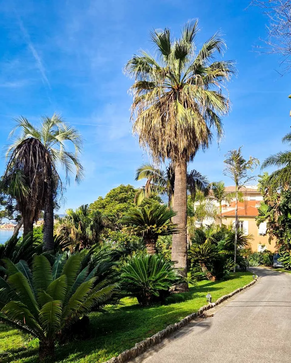 159.Menton ville jardins-Maria Serena-03.jpg