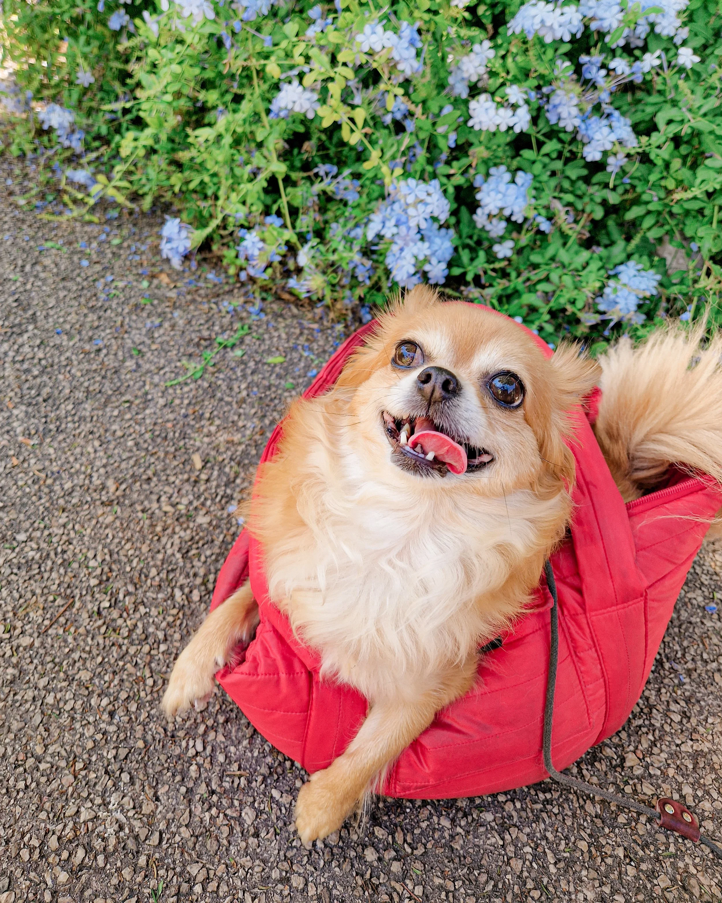 Simonette store - post 2023 08 26 - 03.jpg