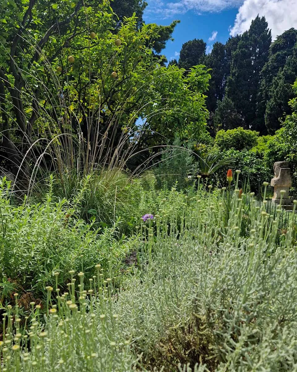 159.Menton ville jardins-Palais Carnoles-14.jpg