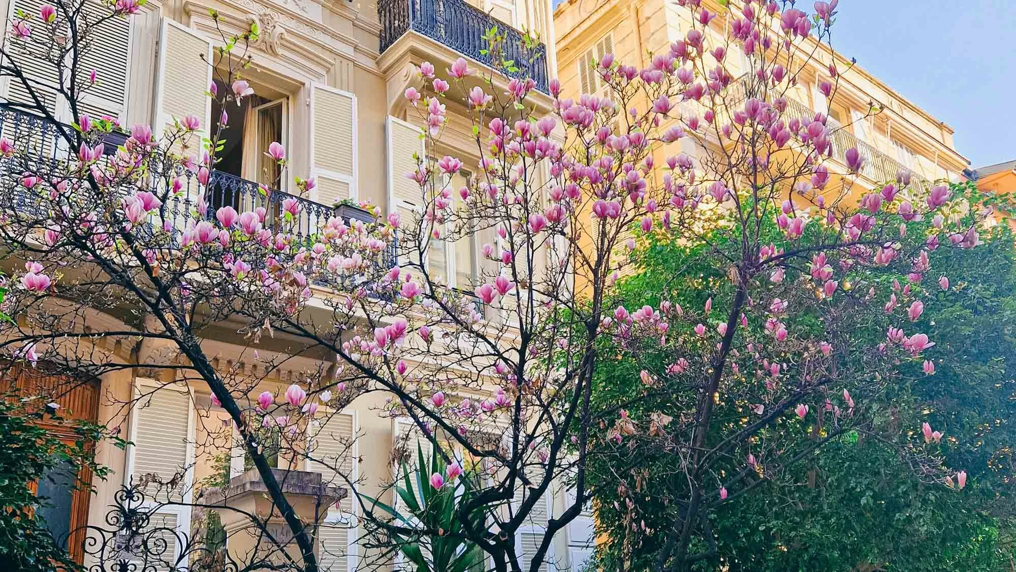 Ménage de printemps