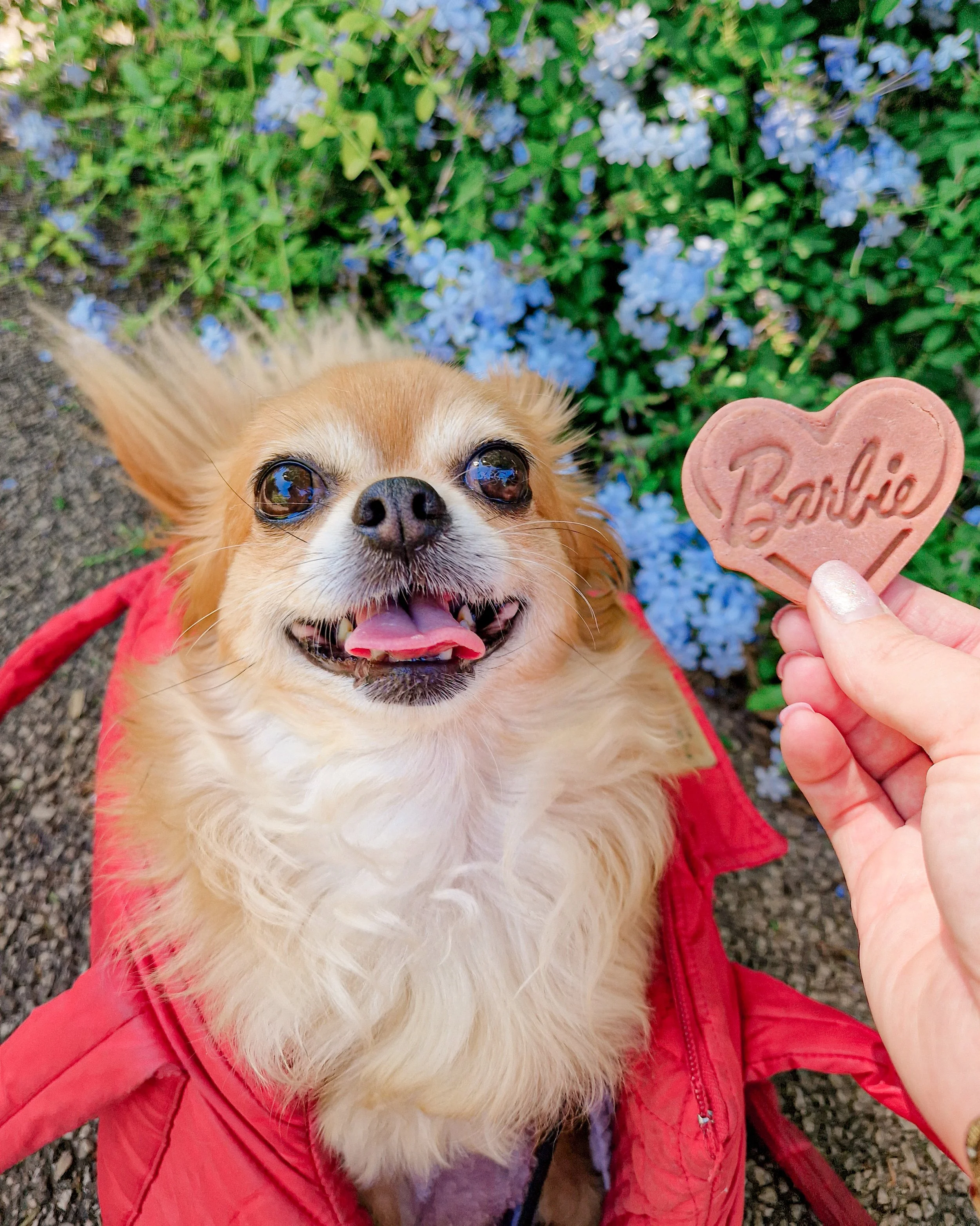 Simonette store - post 2023 08 26 - 01.jpg