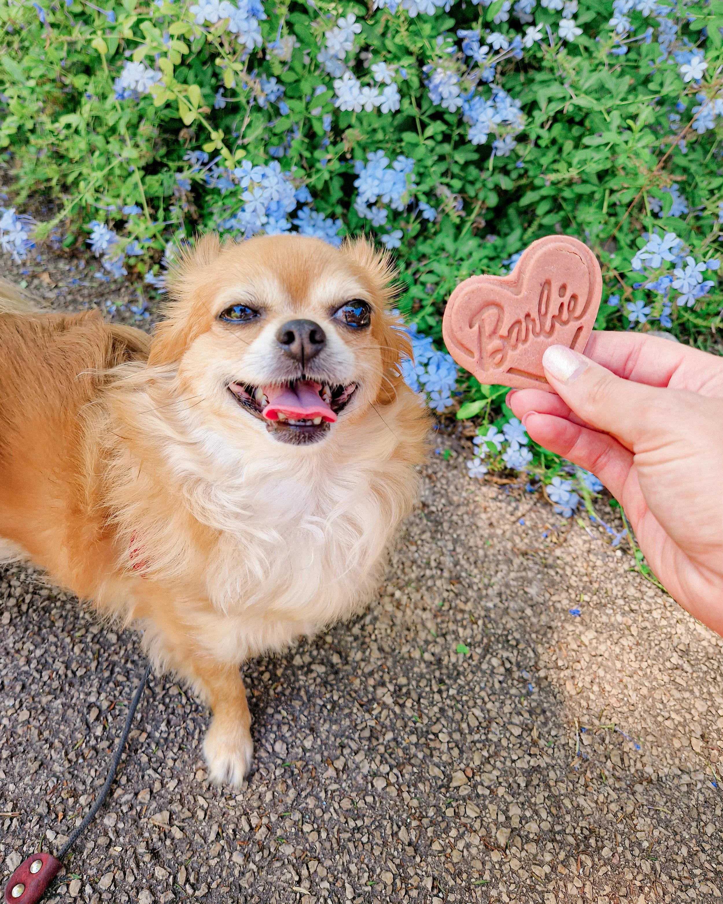 Simonette Store - post 2023 08 09 - 01.jpg