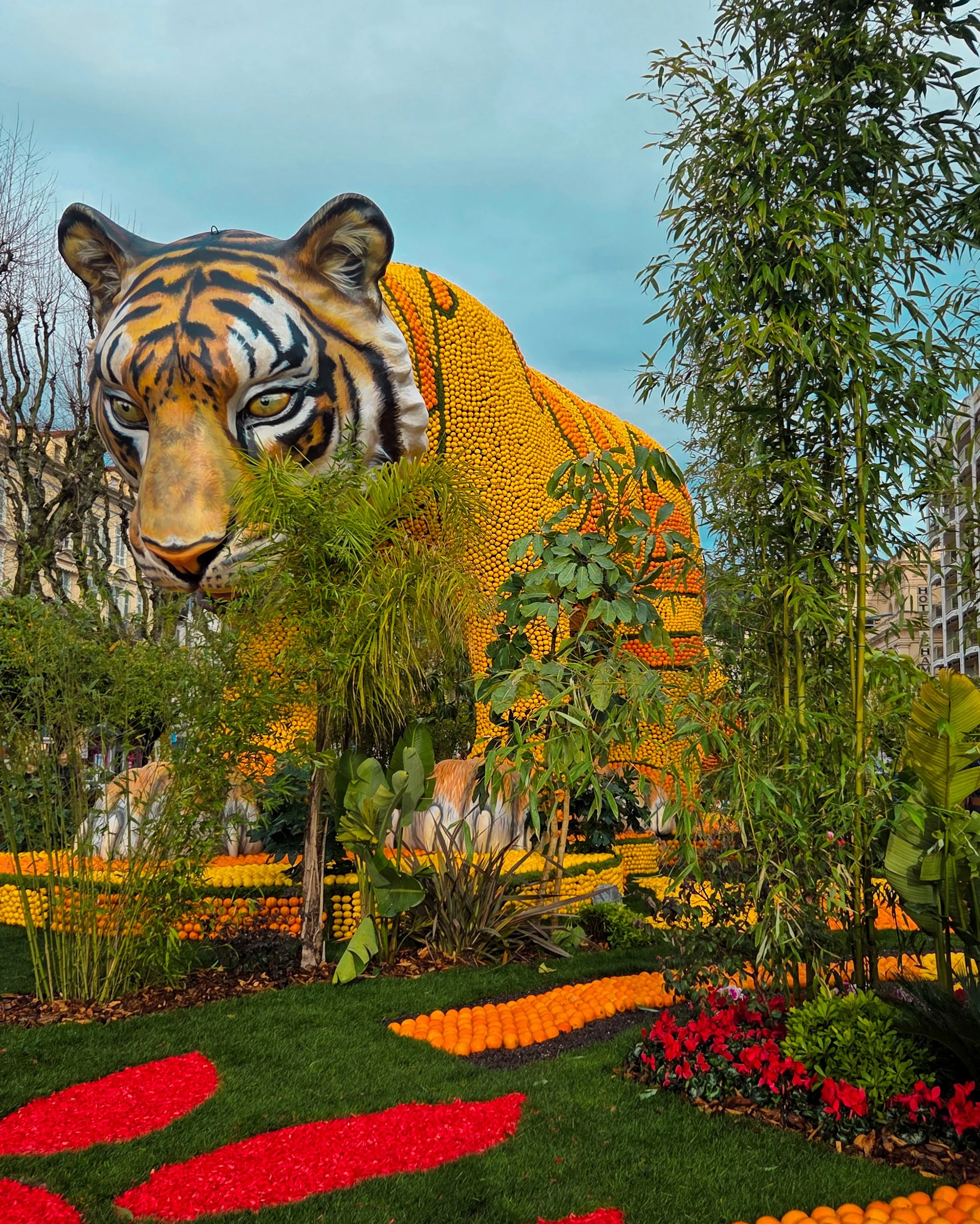 133.Fete du Citron 2026 - Merveilles du Vivant - Jardins-16.jpg